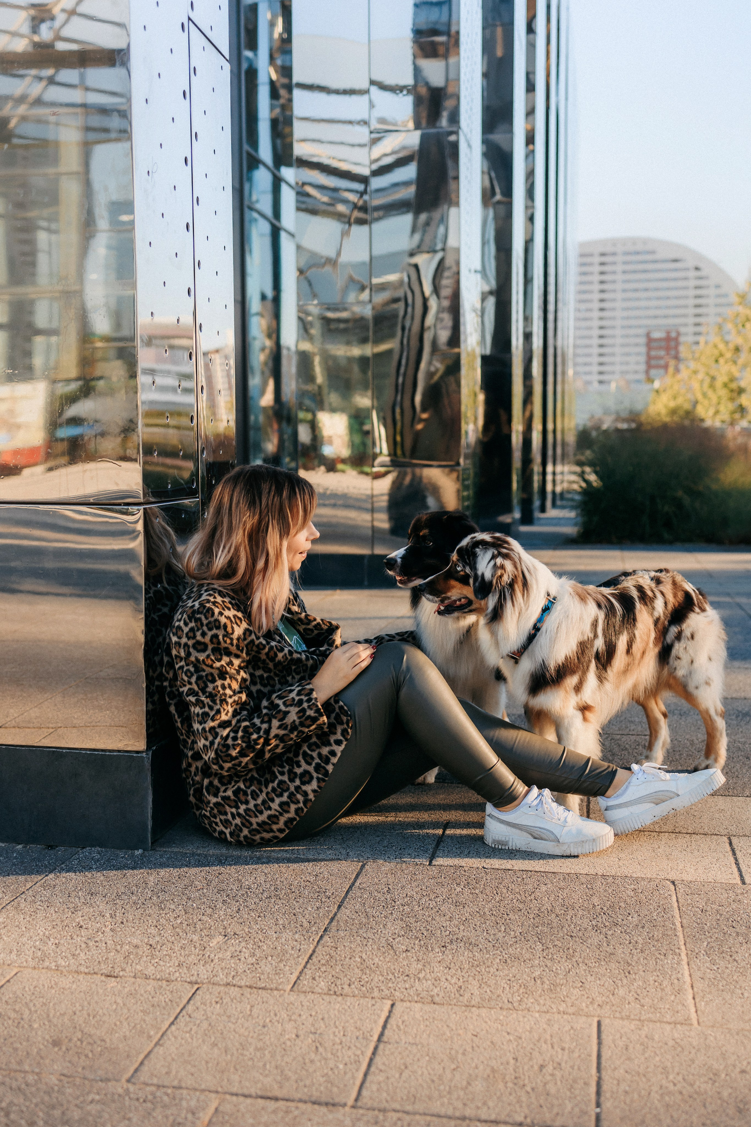 Аня, Чарли и Ева. Фотограф-анималист Елена Радченко, Москва