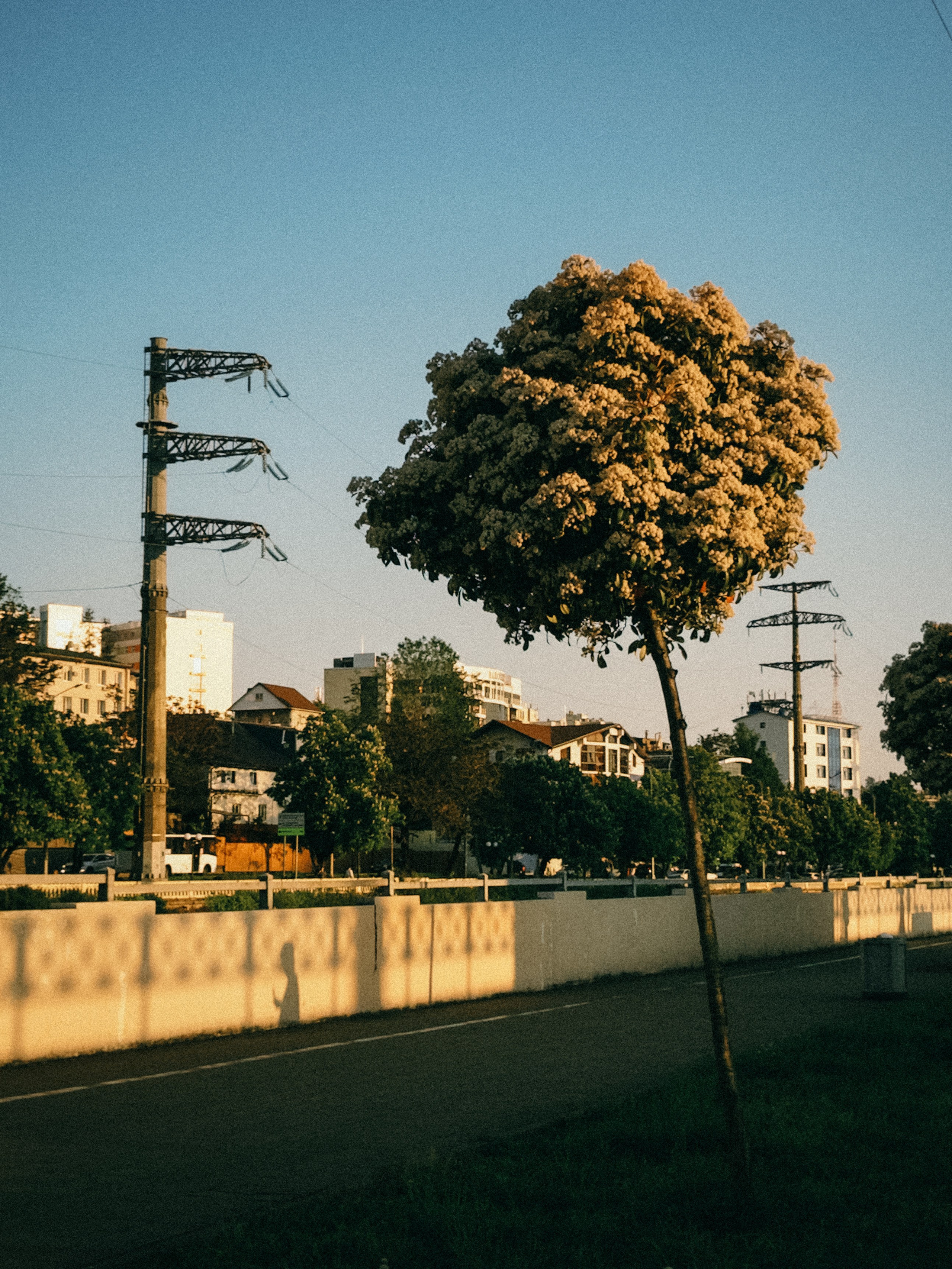 Портфолио фотографа города Стерлитамак и Уфа Альбина Шарт. Портретный и лавстори фотограф в Стерлитамаке Альбина Шарт