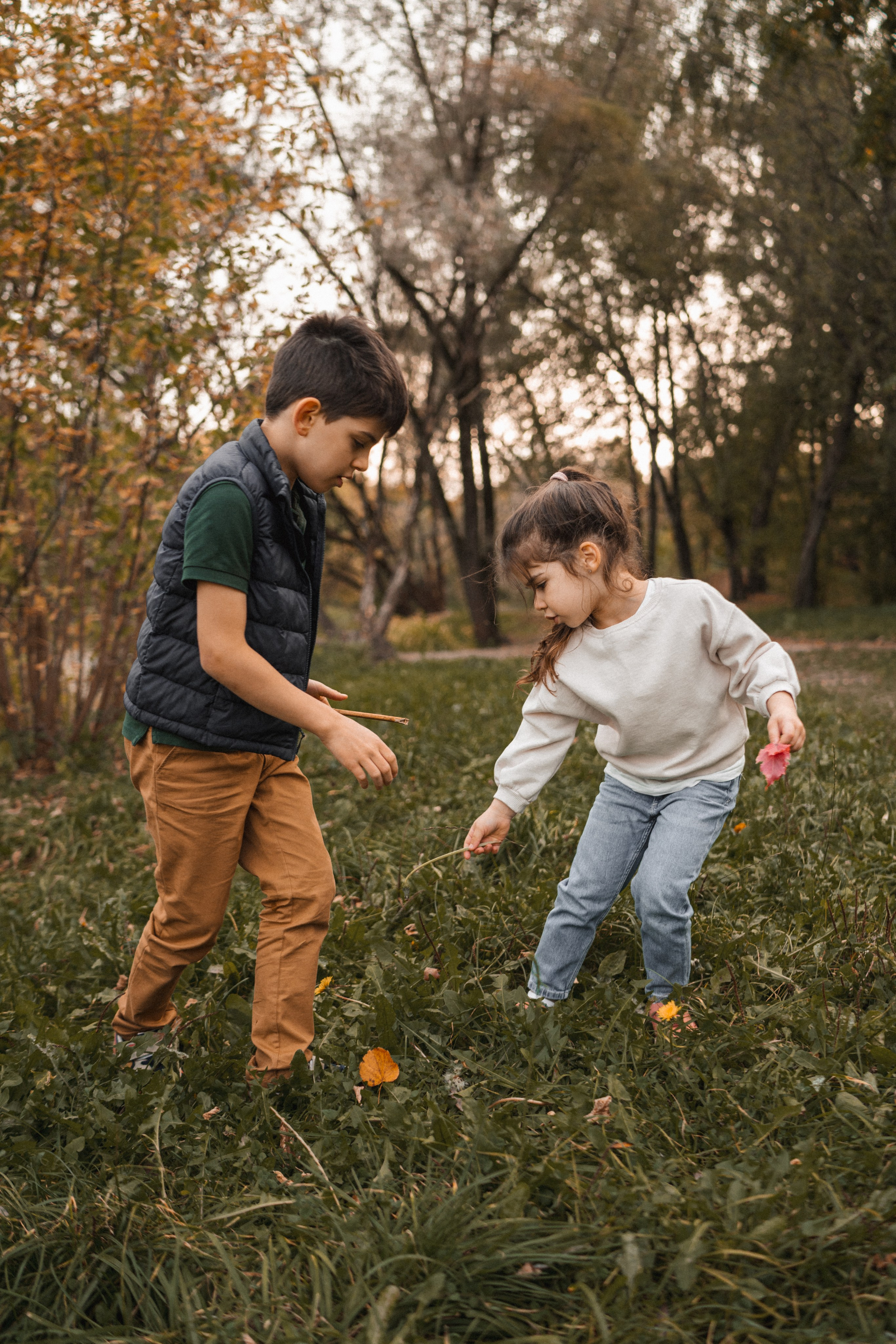 Дерево-брокколи. Фотограф Анна Кобазева, Москва