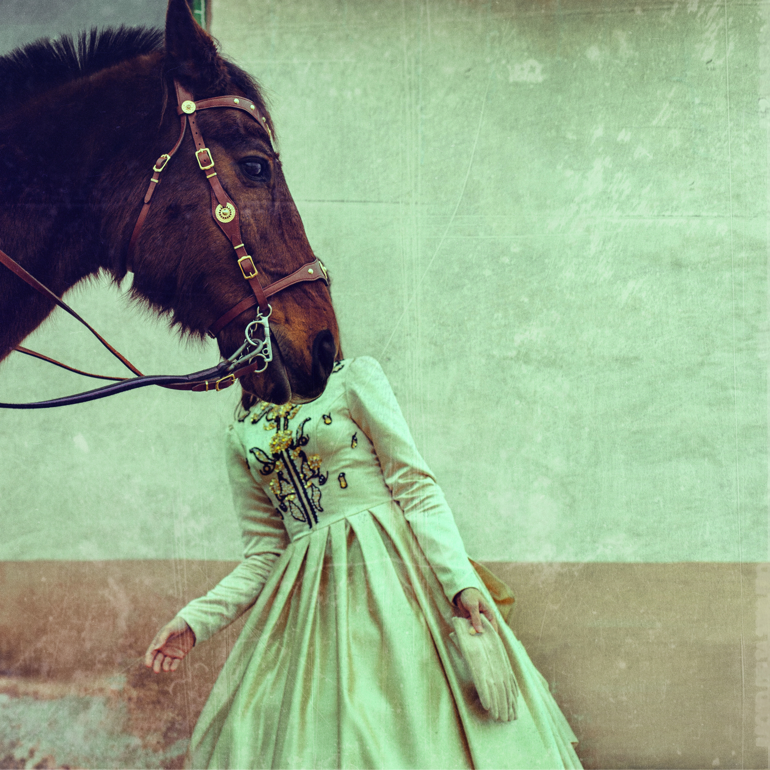 Алена. Творческий фотограф — Минск