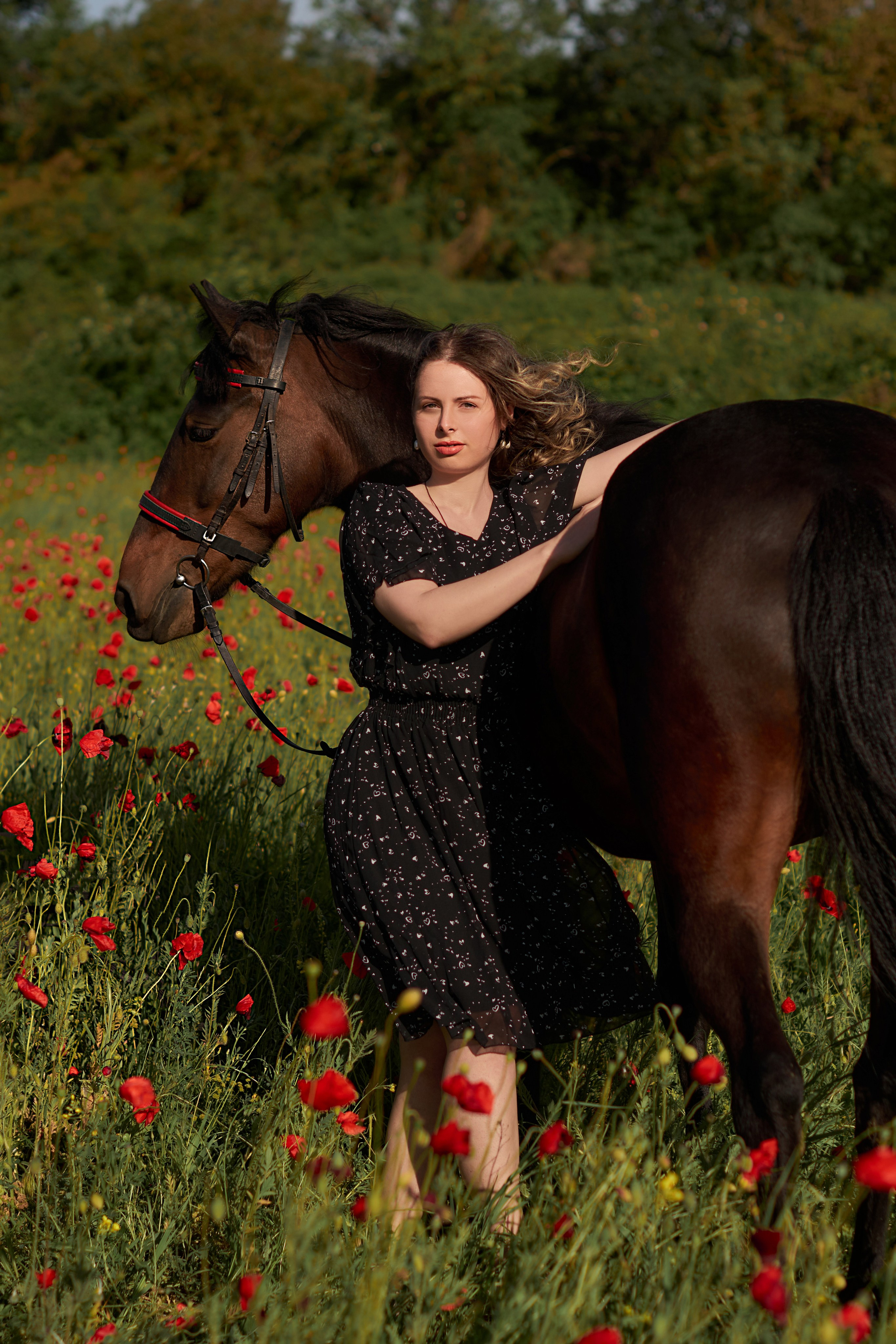 Фотосессия с лошадью Севастополь. Фотограф в Севастополе