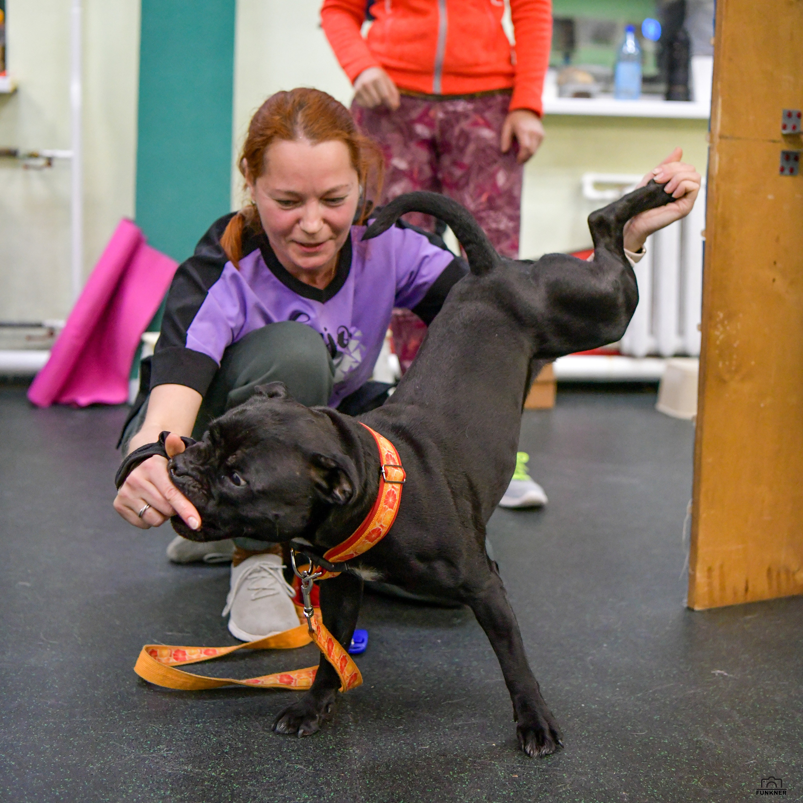Кинологический клуб «Бодрый хвост». Свой взгляд через объектив