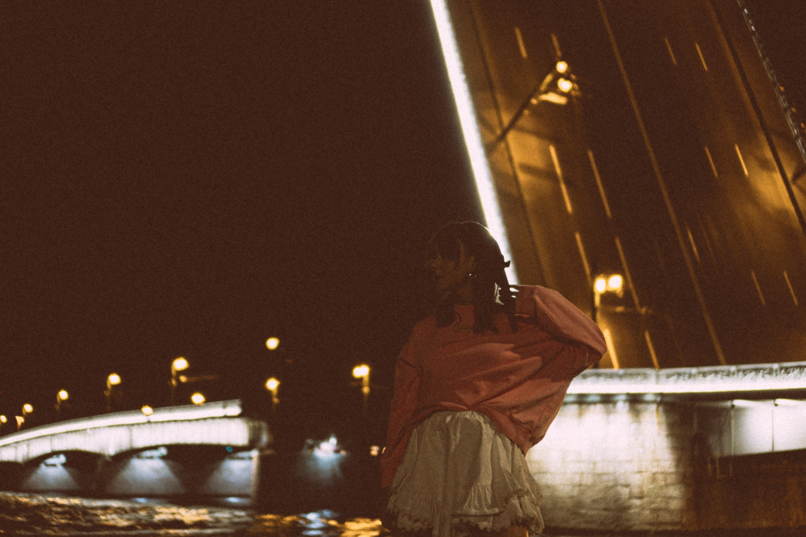 Прогулка по ночному городу. Профессиональный фотограф, Санкт-Петербург — Виктория Богомолова