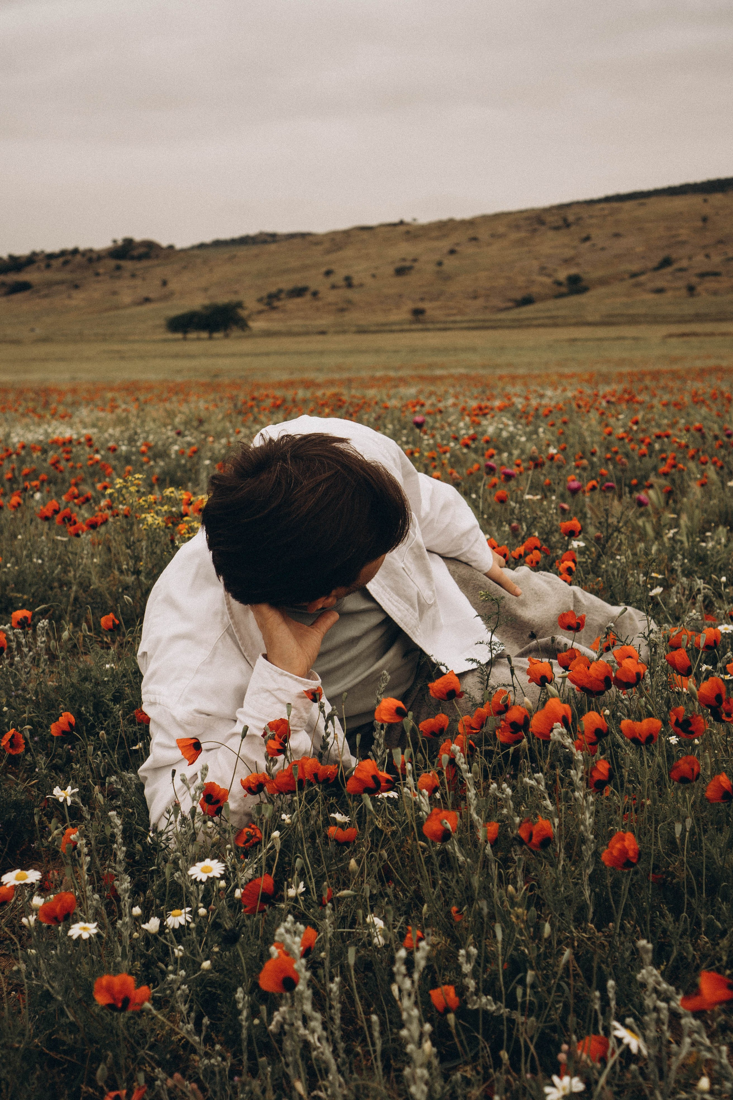 Маки. Профессиональный фотограф, Санкт-Петербург — Виктория Богомолова