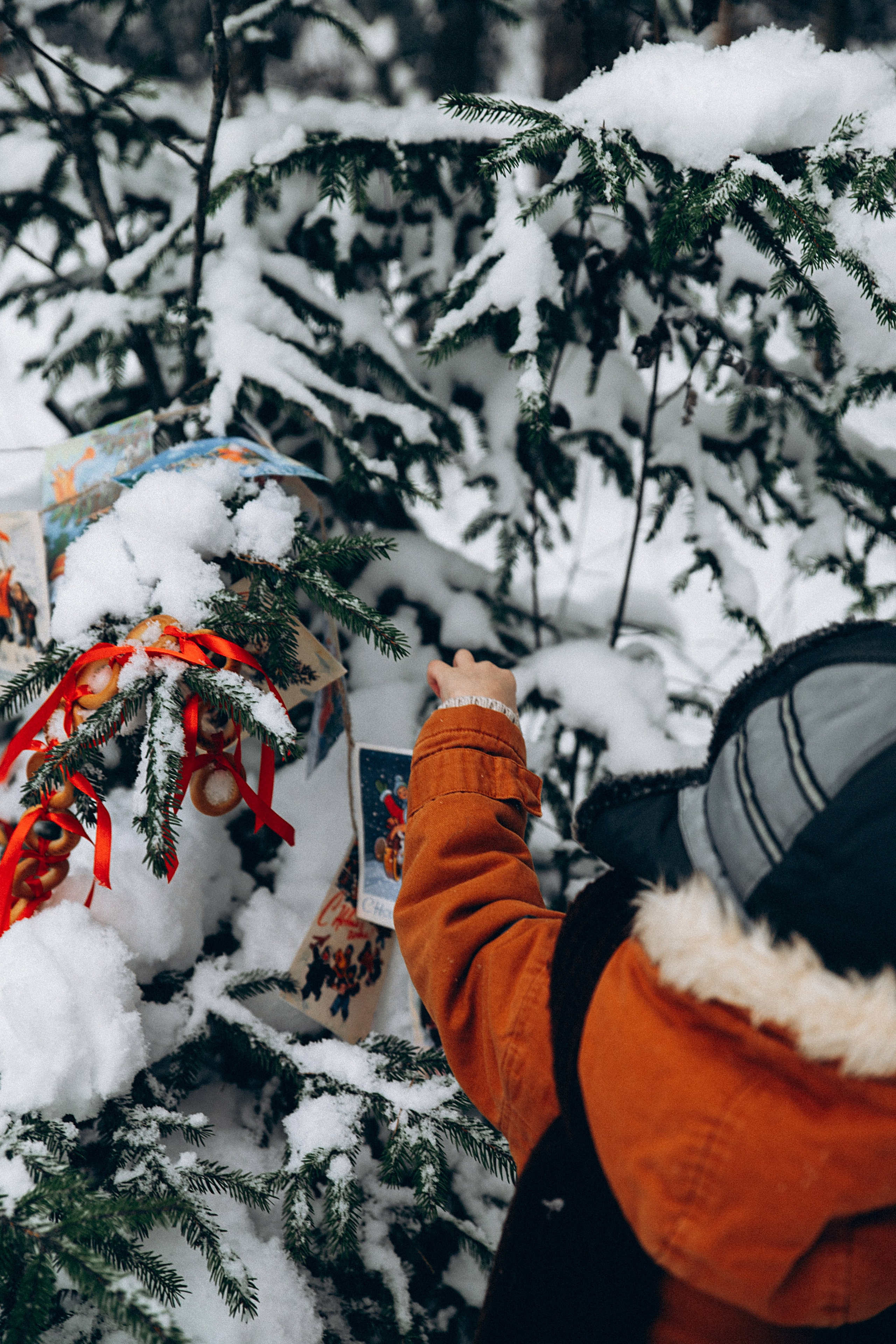 Зимние радости. Репортажный и детский фотограф в Минске