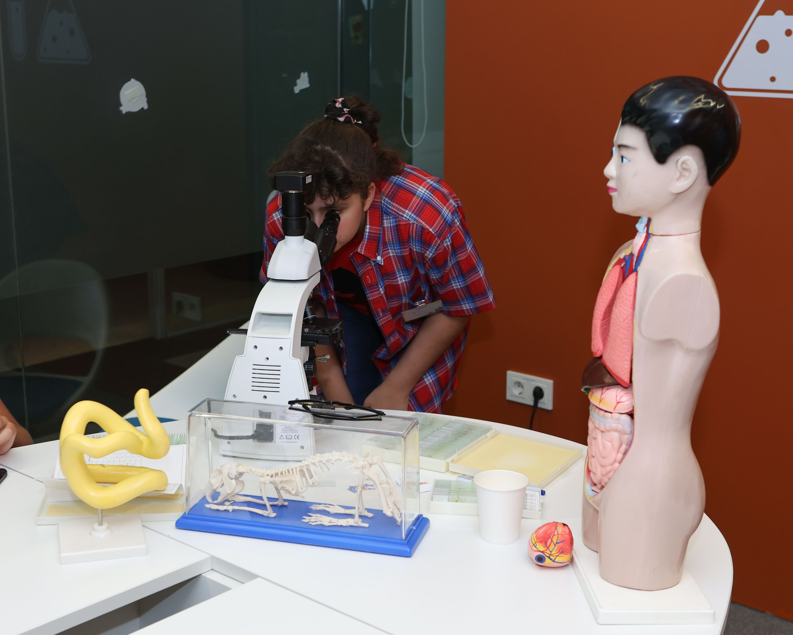 5-7 классы: Фоксфорд. Выпускные альбомы и школьный фотограф в Подольске, Троицке, Щербинке, Москве и Московской области