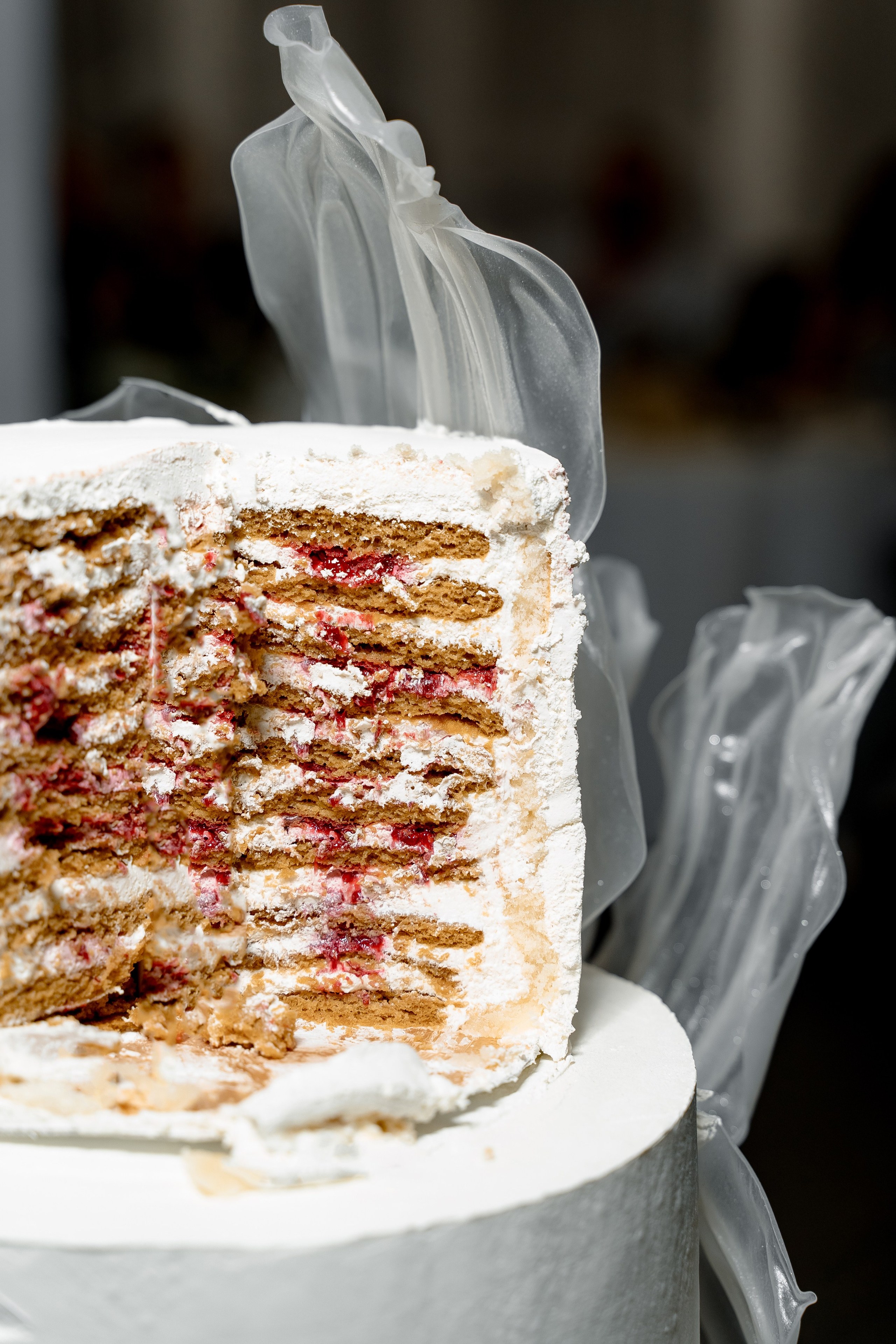 Лесной Берег. Свадебный фотограф Москва