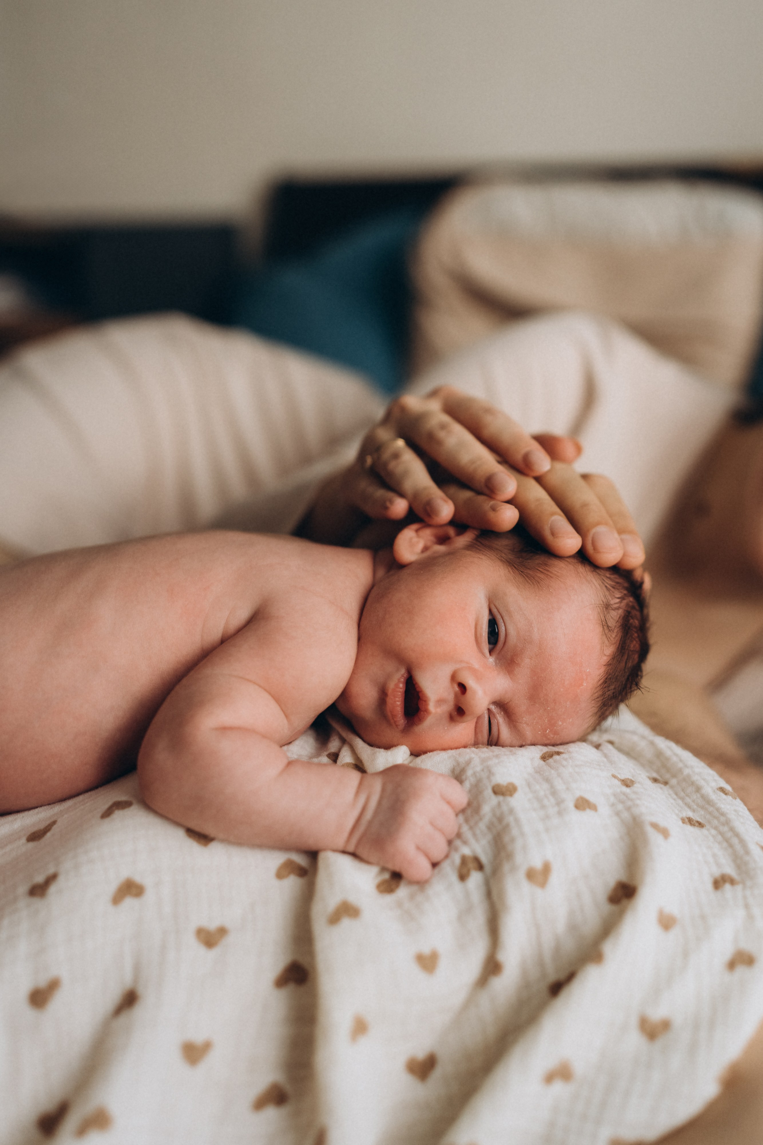 Денис / Алена и Ян. Фотограф в Санкт-Петербурге — Лучина Екатерина