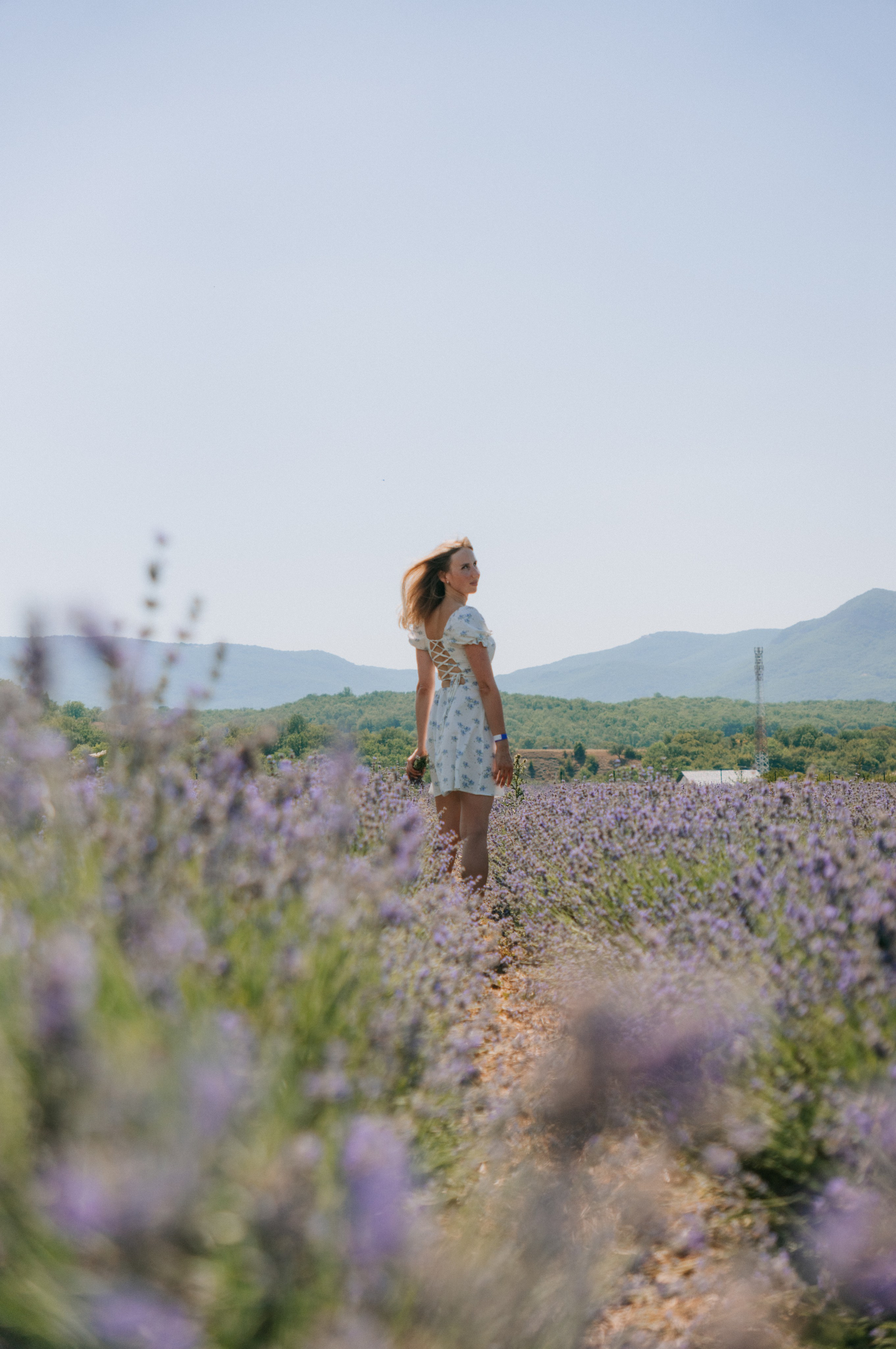 Сбор урожая | лавандовая ферма Viva Lavanda. Обо мне