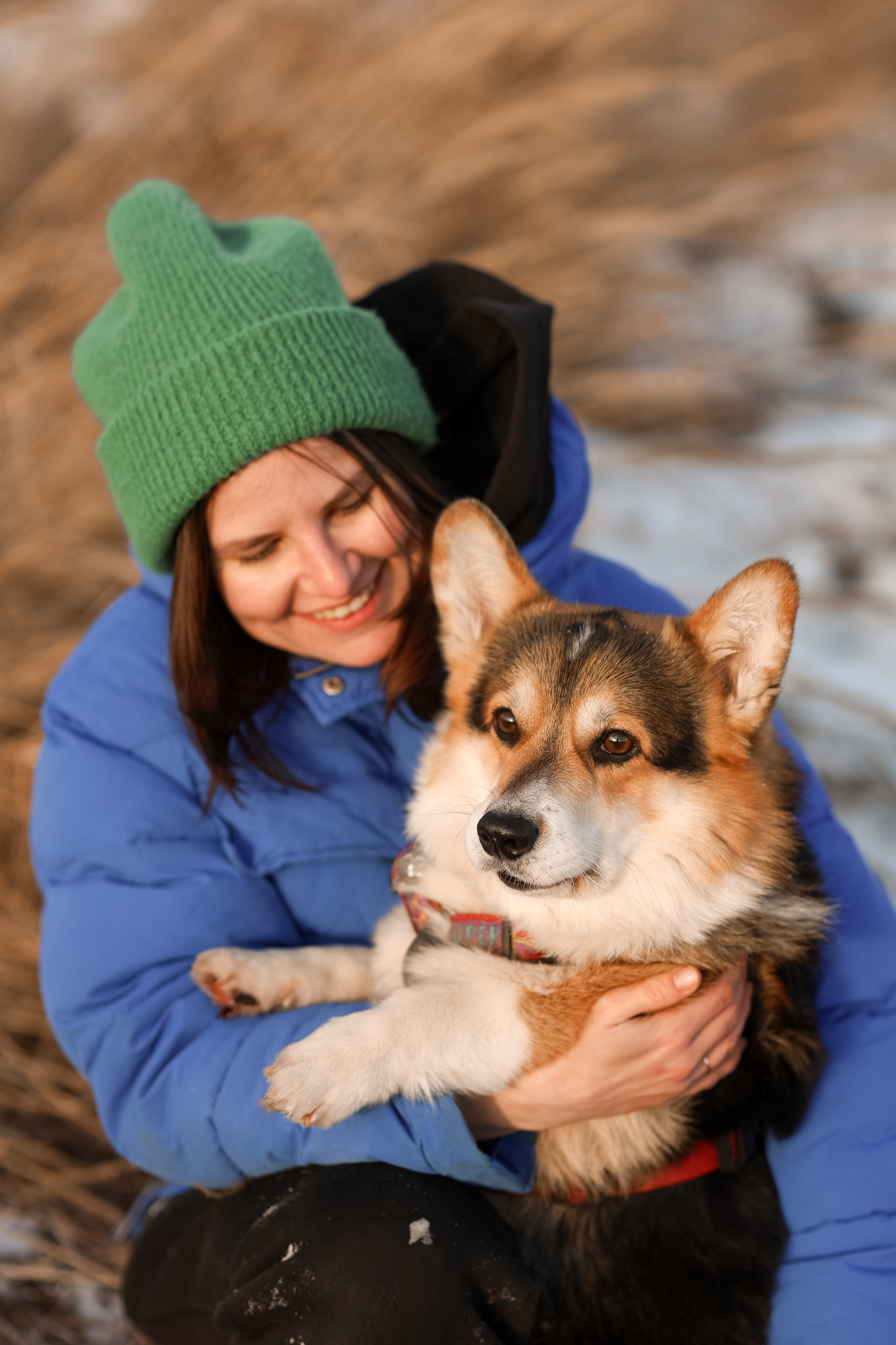 Трой, Балу и Катя. Фотограф-анималист в Москве Кириллова Татьяна