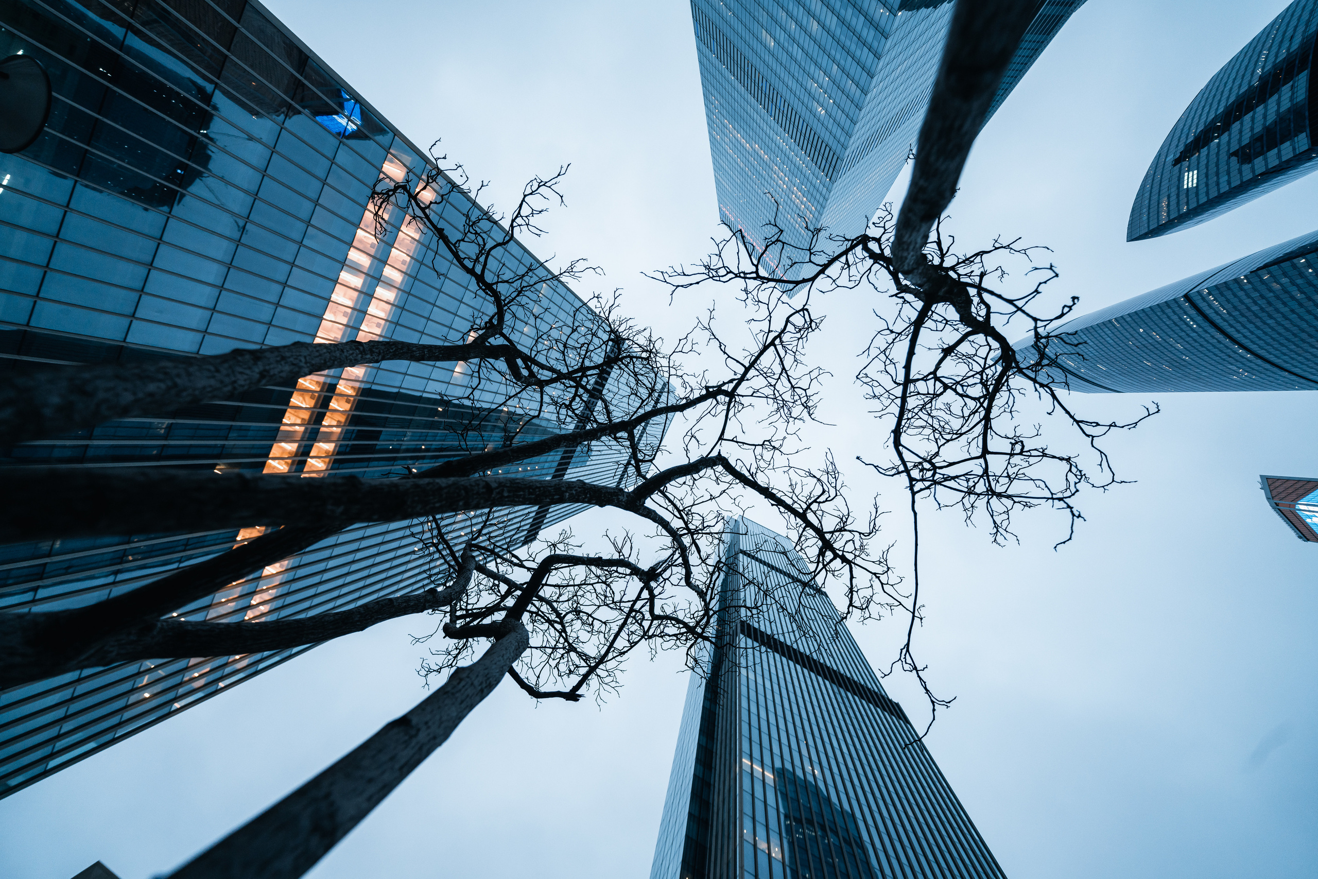 Москва — Сити, Москомархитектура. @tomrus: Рустам Шагиморданов — фотограф