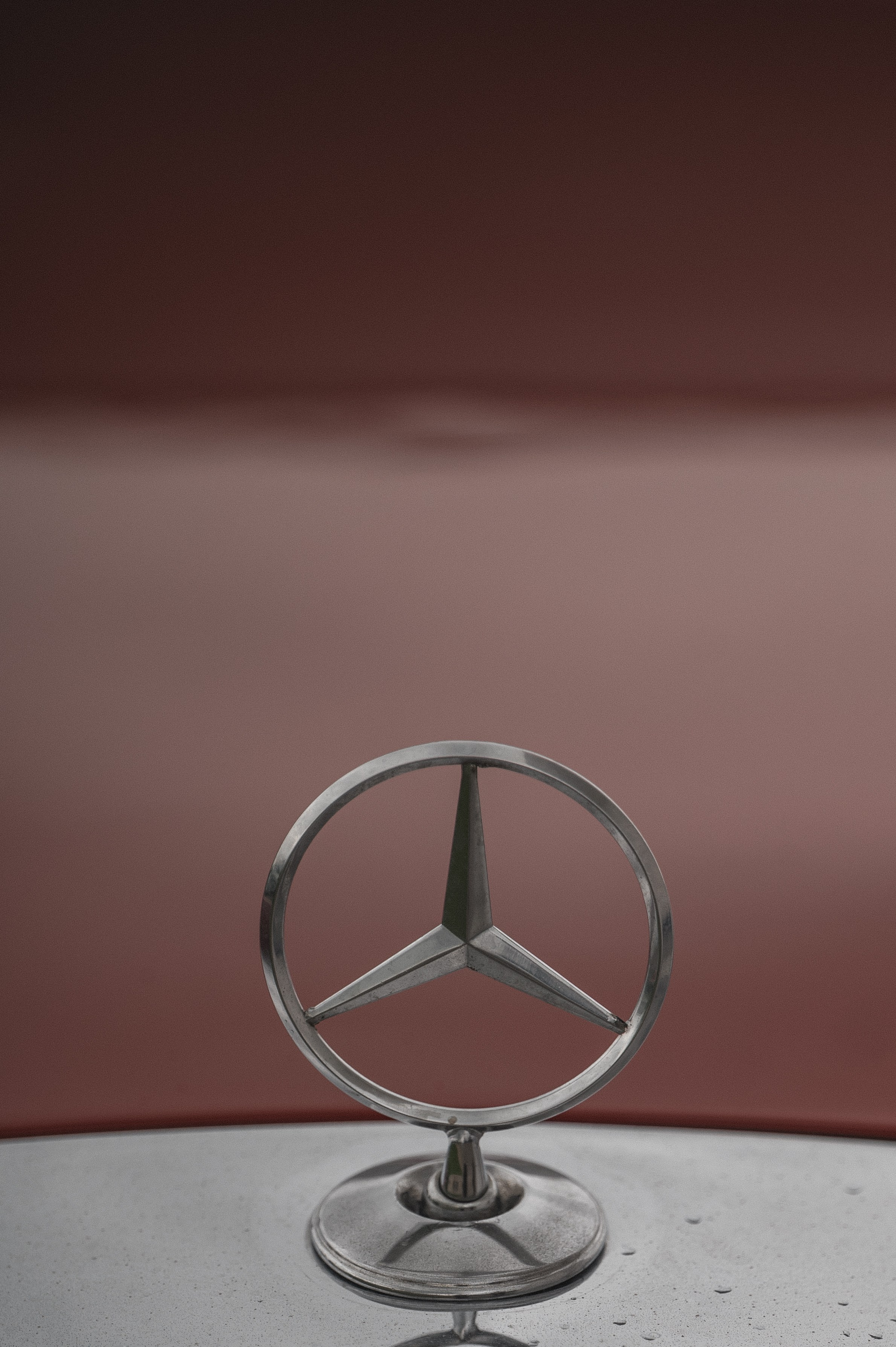 За городом. Свадебный фотограф в Рязани Дзюрак Елизавета