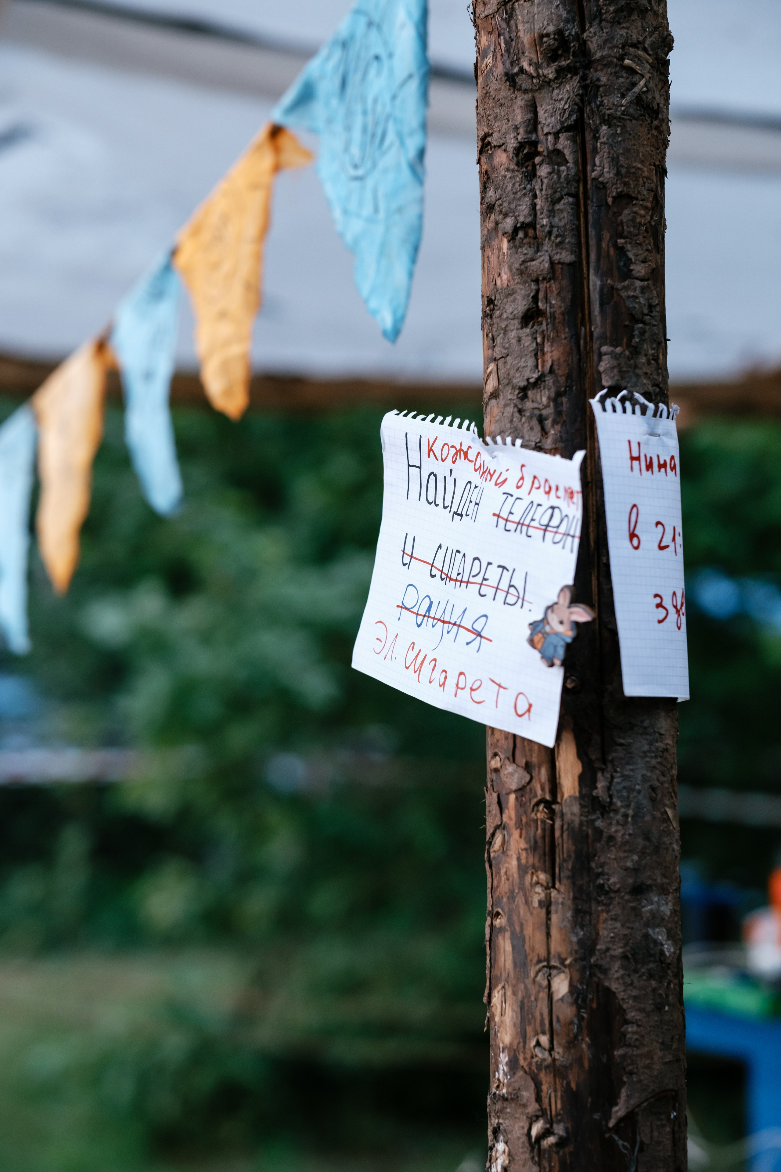 Фестиваль «Бессонница» 2024. Семейный и детский фотограф в Москве Светлана Потемкина
