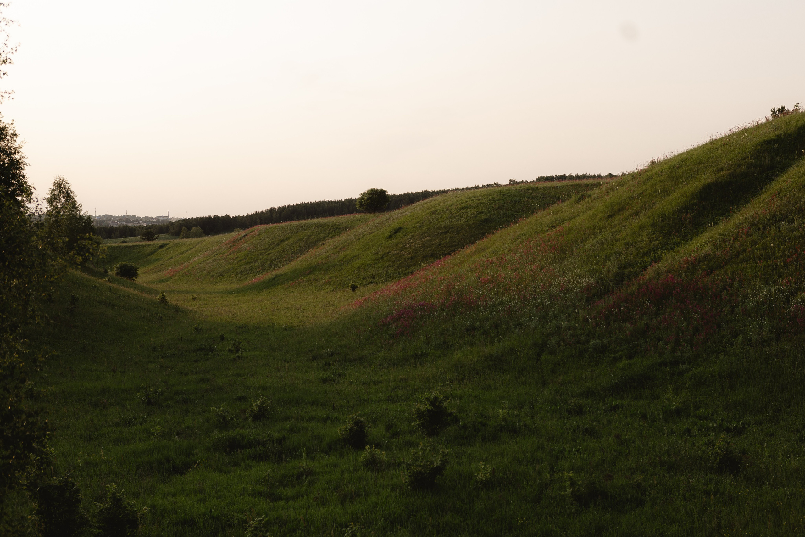 Анастасия с любимыми. Фотограф в Казани.Снимаю индивидуальные портреты, love story и свадьбы