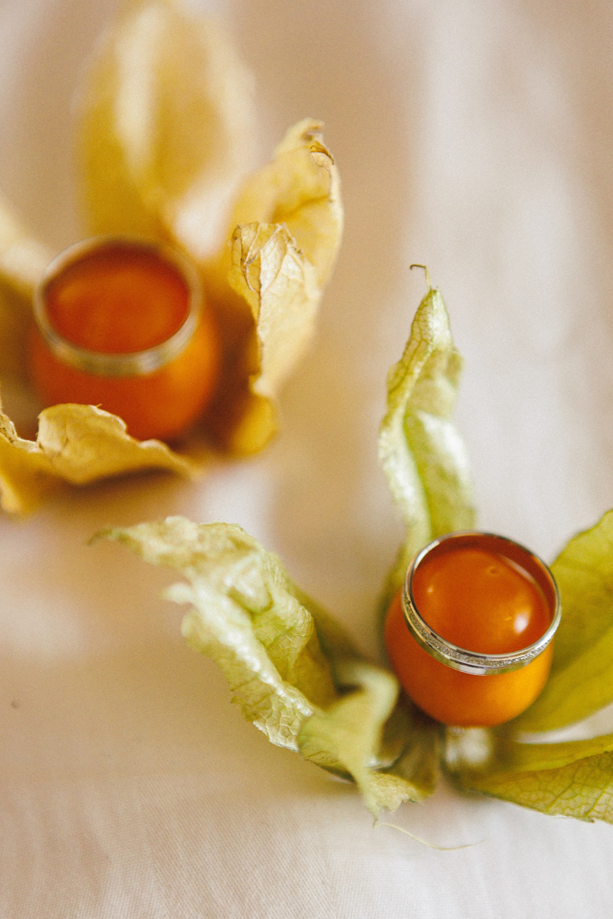 Елена и Александр. Фотограф Дубровская Виктория