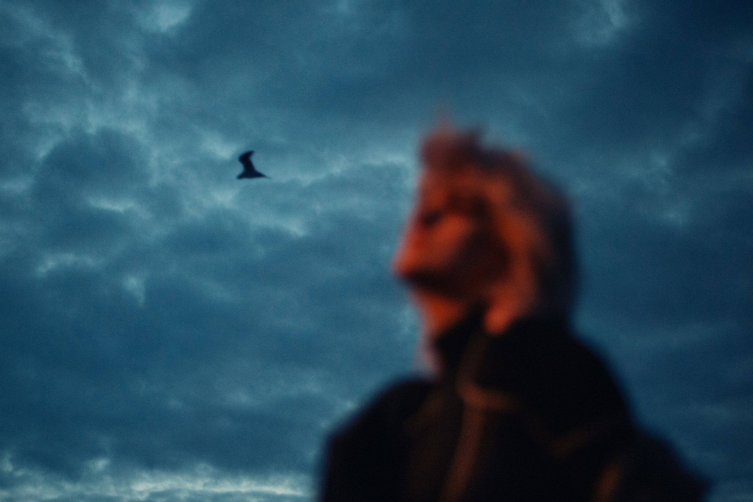 Фотопрогулки. Фотограф Демид Никитин. г. Дубна, Москва