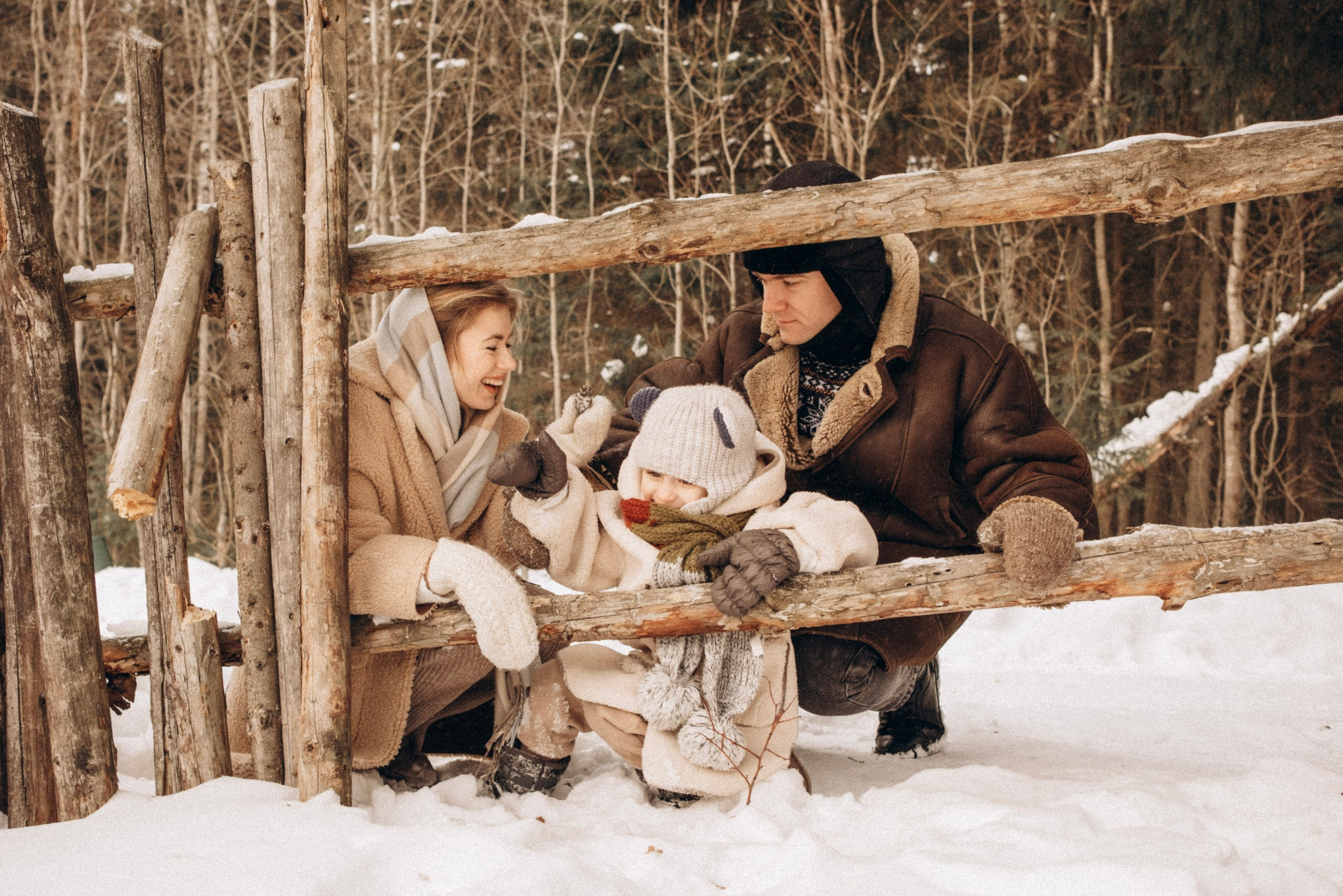 Зимняя история. Главная