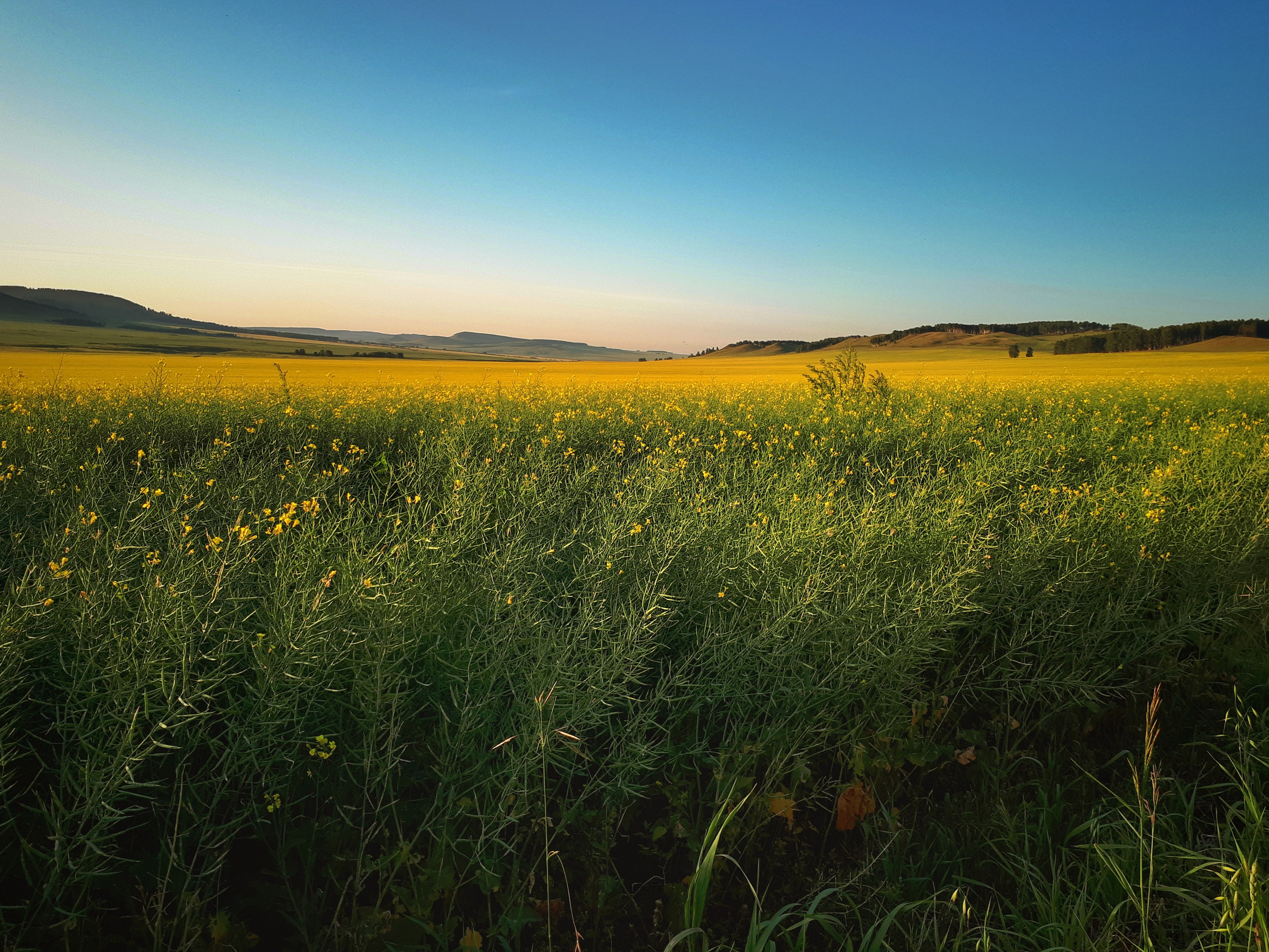 Фото на телефон. Фотошкола и фотокурсы в Абакане