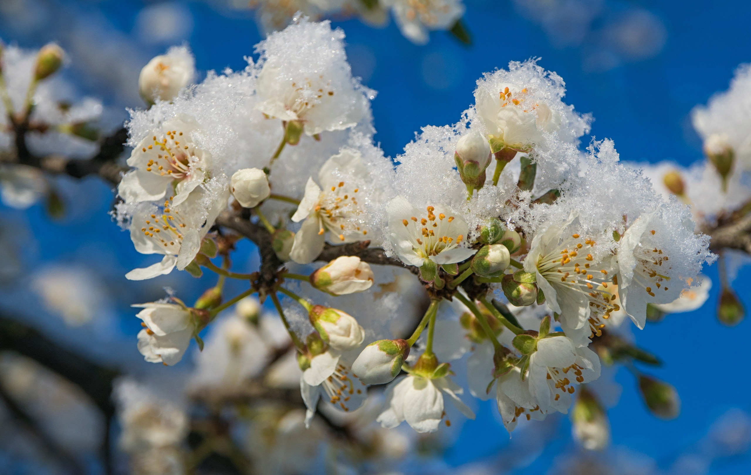 Природа. Макс По — фото и видео съемки любого формата