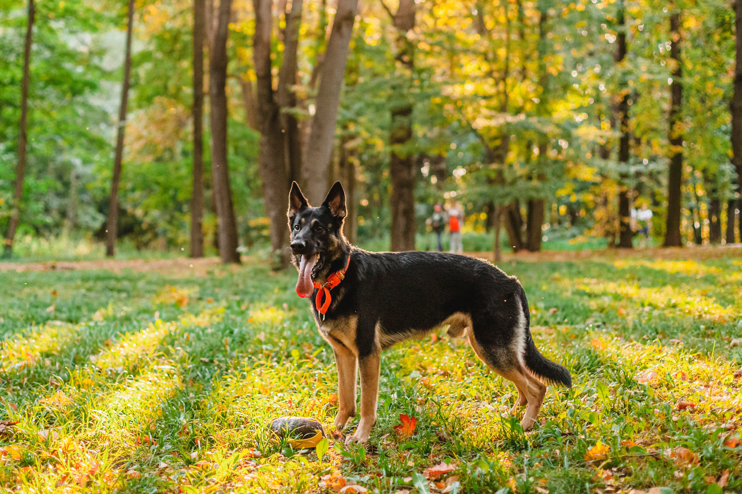 Илай. Фотограф-анималист Татьяна Степанова