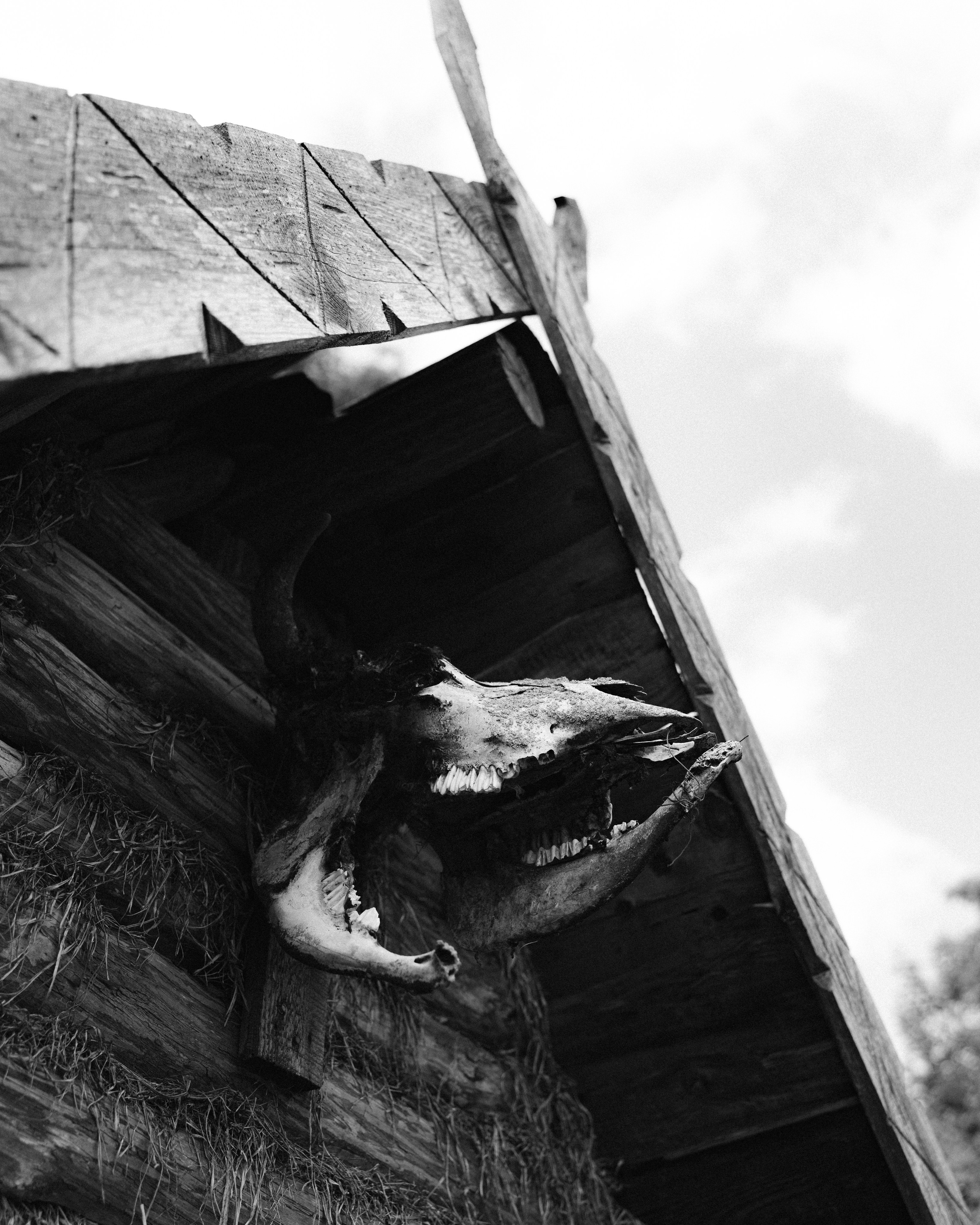 Беларусь. Твой фотограф в Москве и Московской области Романцова Ирина