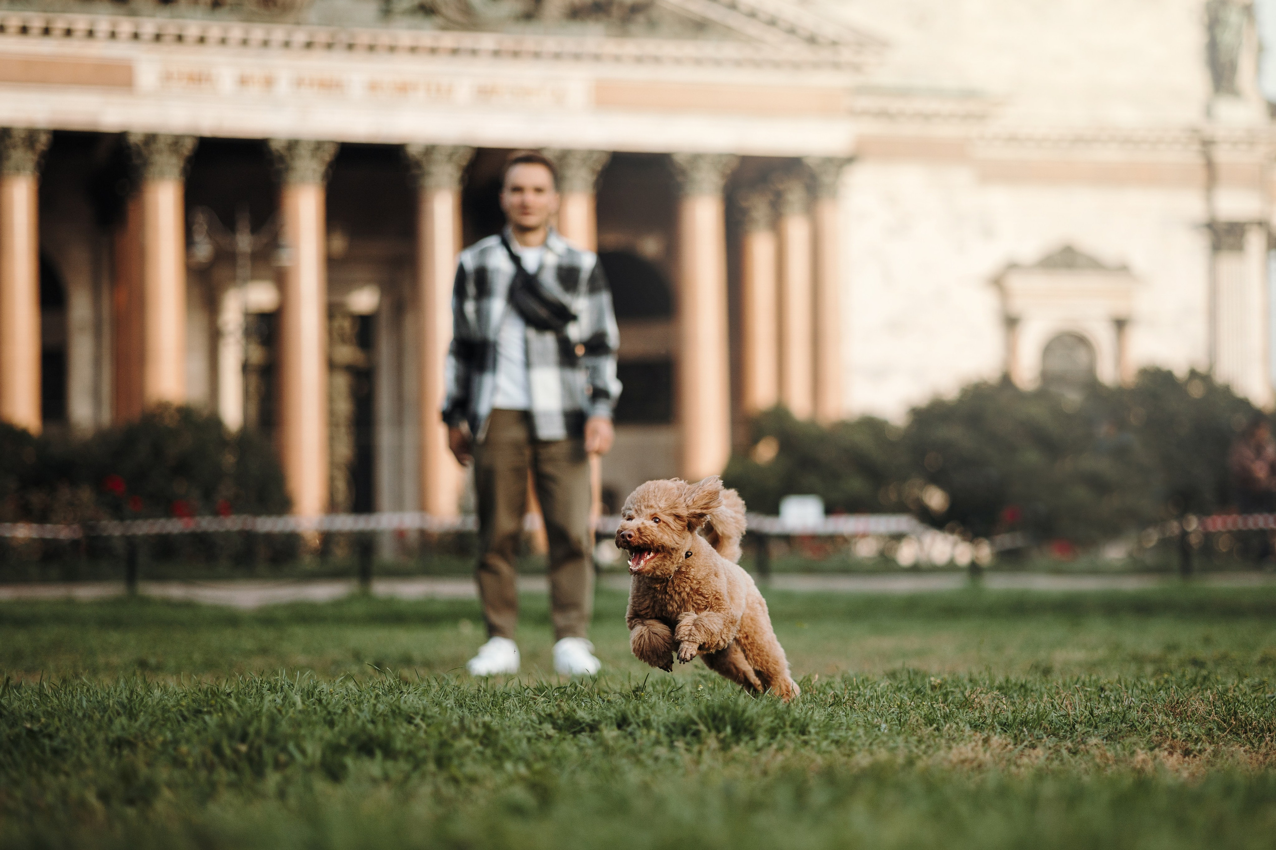Барни и его семья. Фотограф — Анималист | Санкт-Петербург