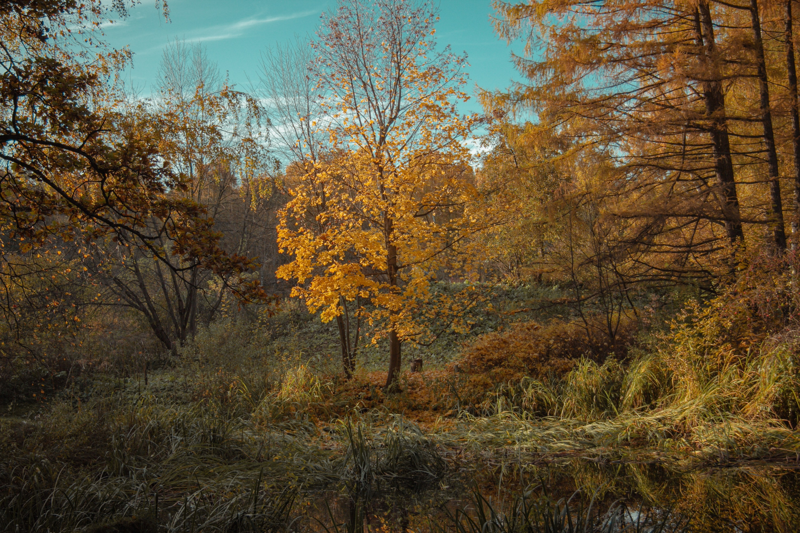 Путешествия. Портретный фотограф в Москве Эмиль Халиков