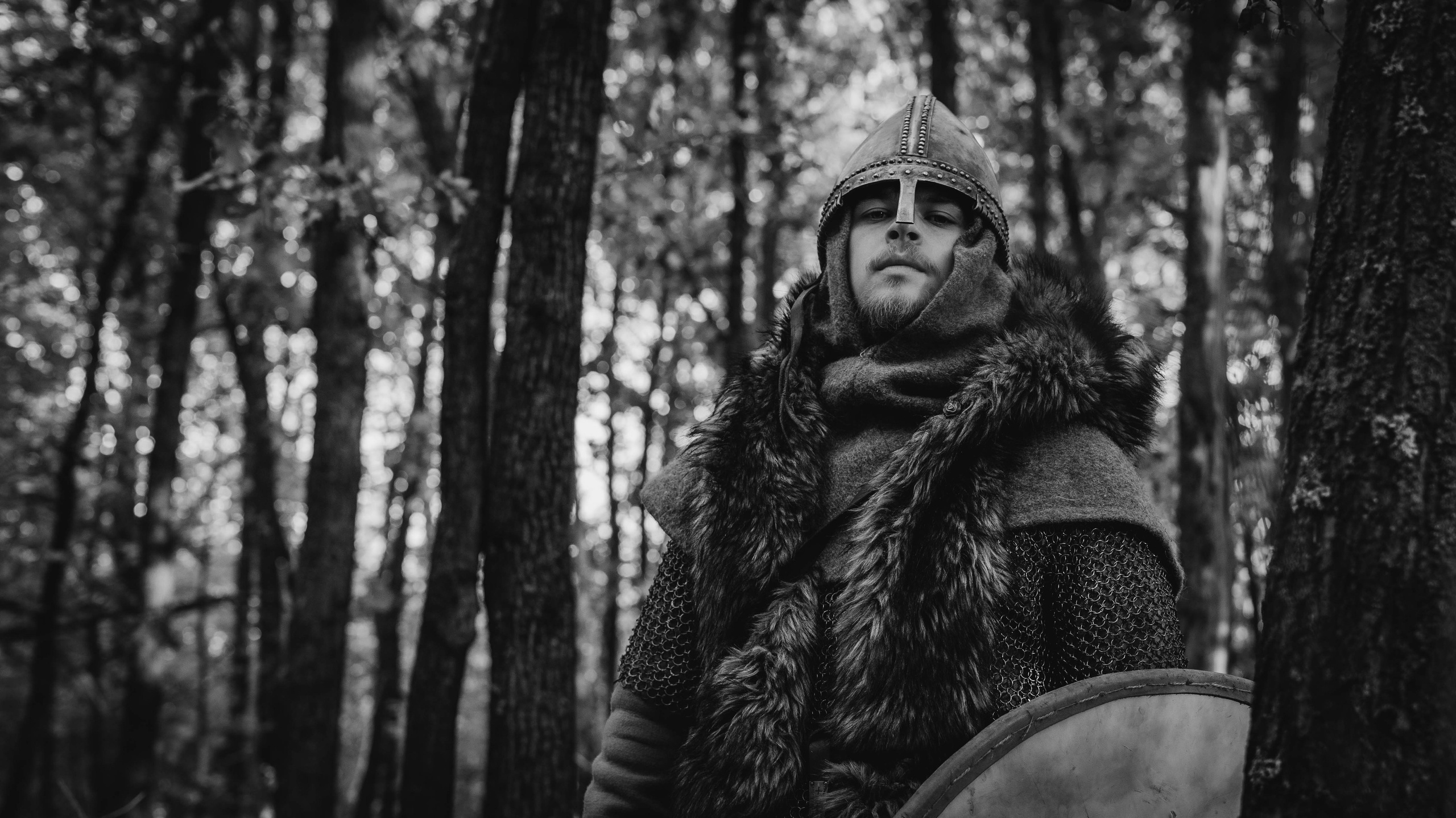 Викинг. Ab extra