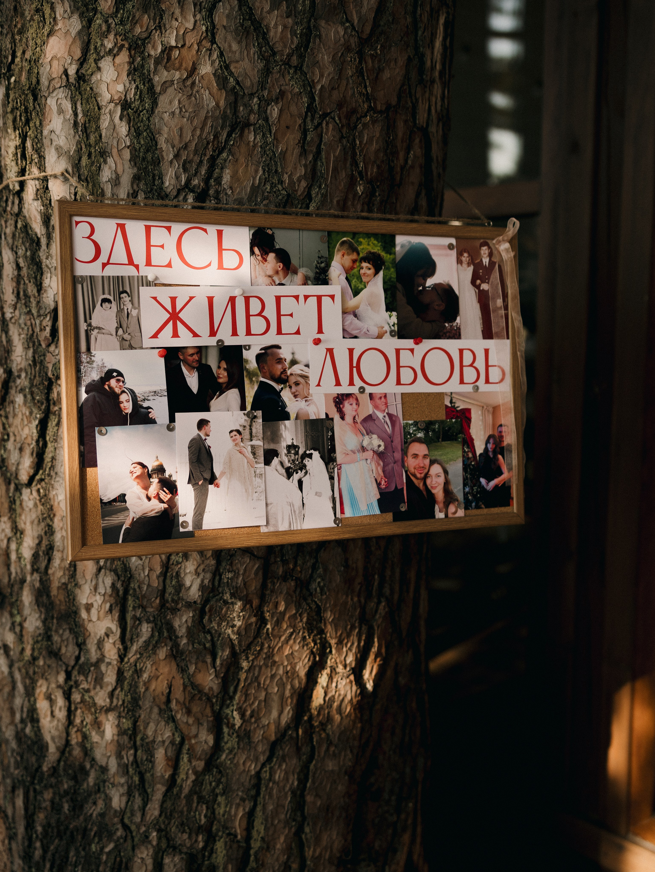 Здесь живет любовь. Фотограф Санкт-Петербург