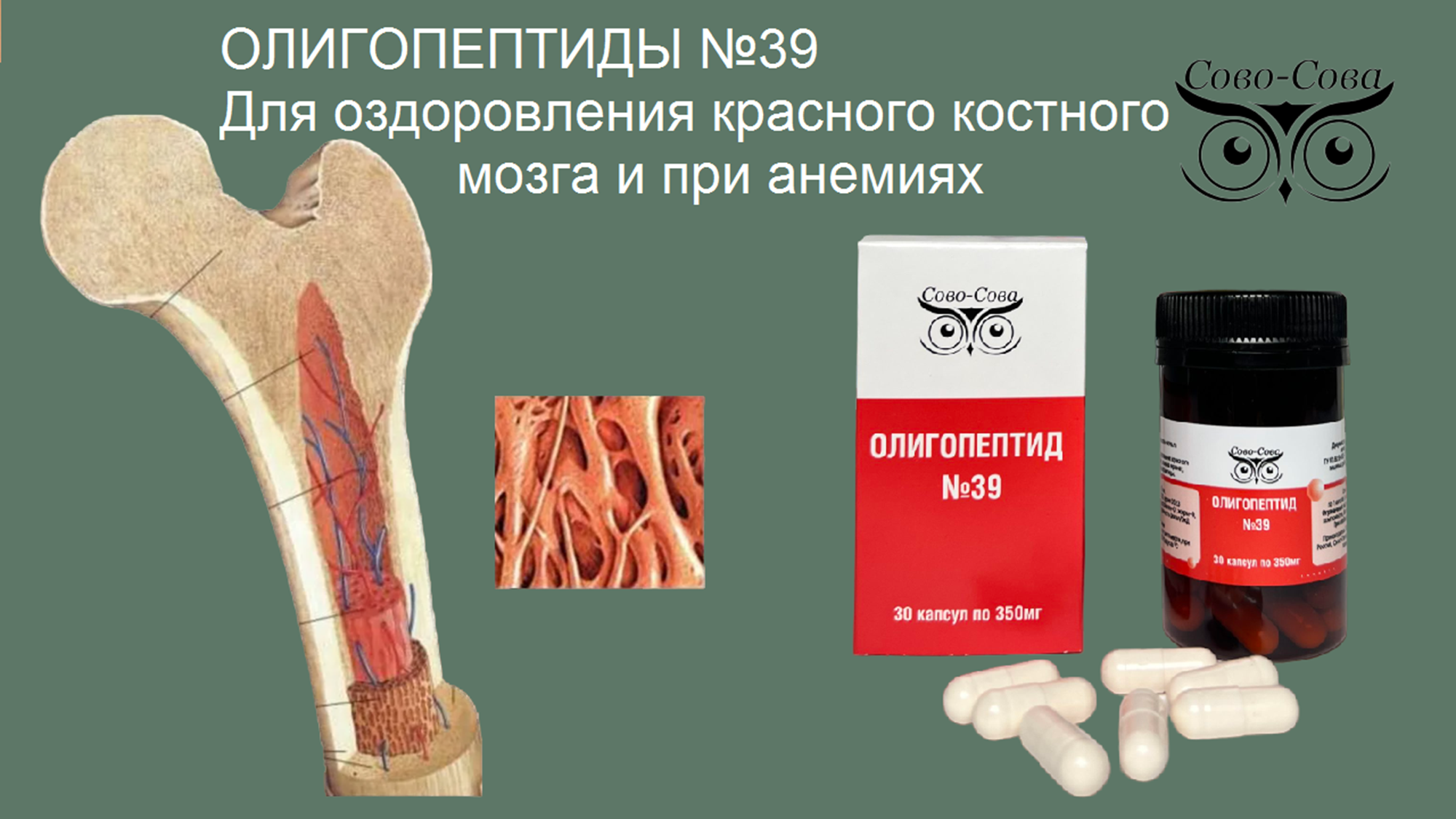 Олигопептид № 39   Для оздоровления красного костного мозга и анемиях