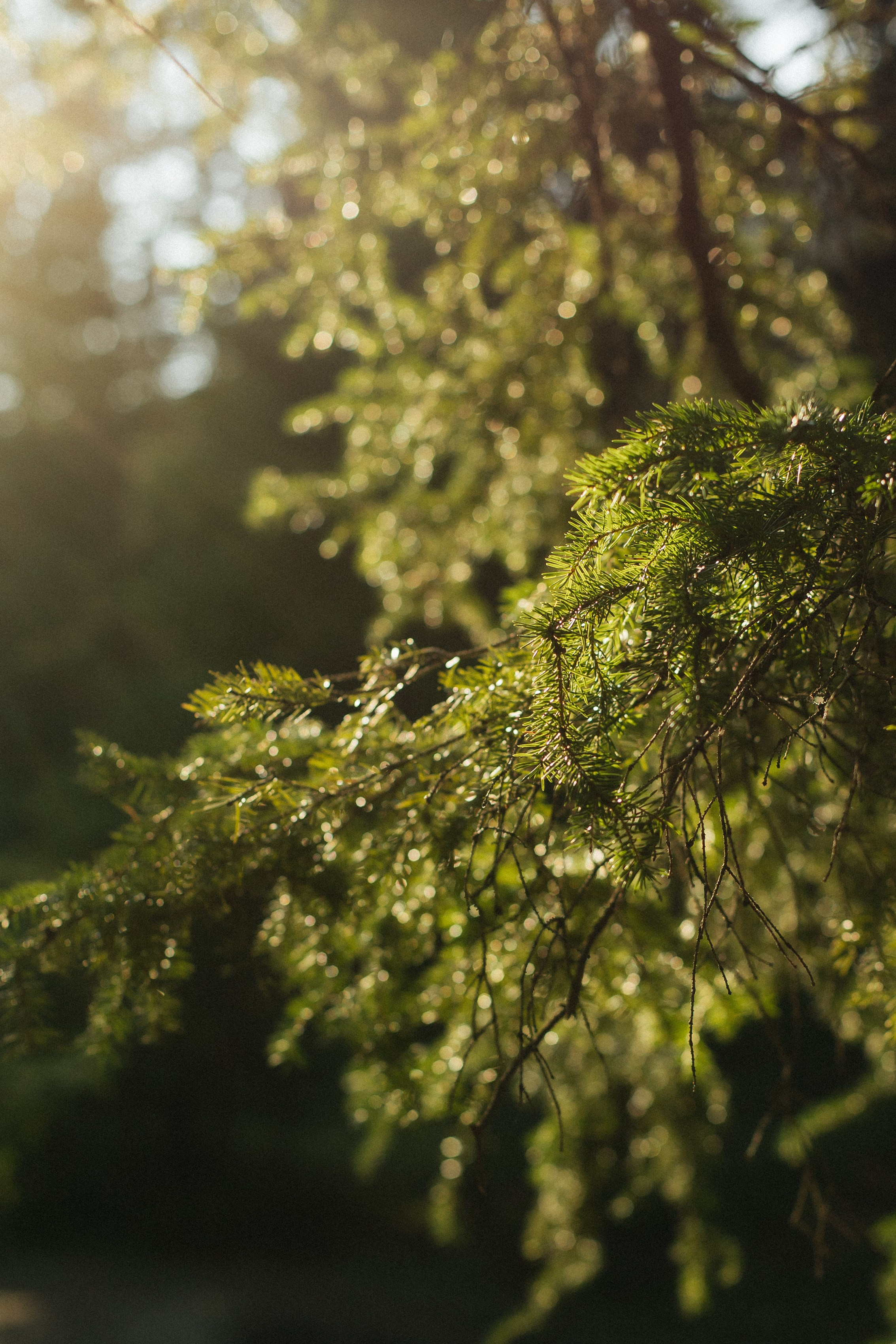 «Теплое воспоминание». Свадебный и семейный фотограф в Якутске — Дьулусхан Прокопьев
