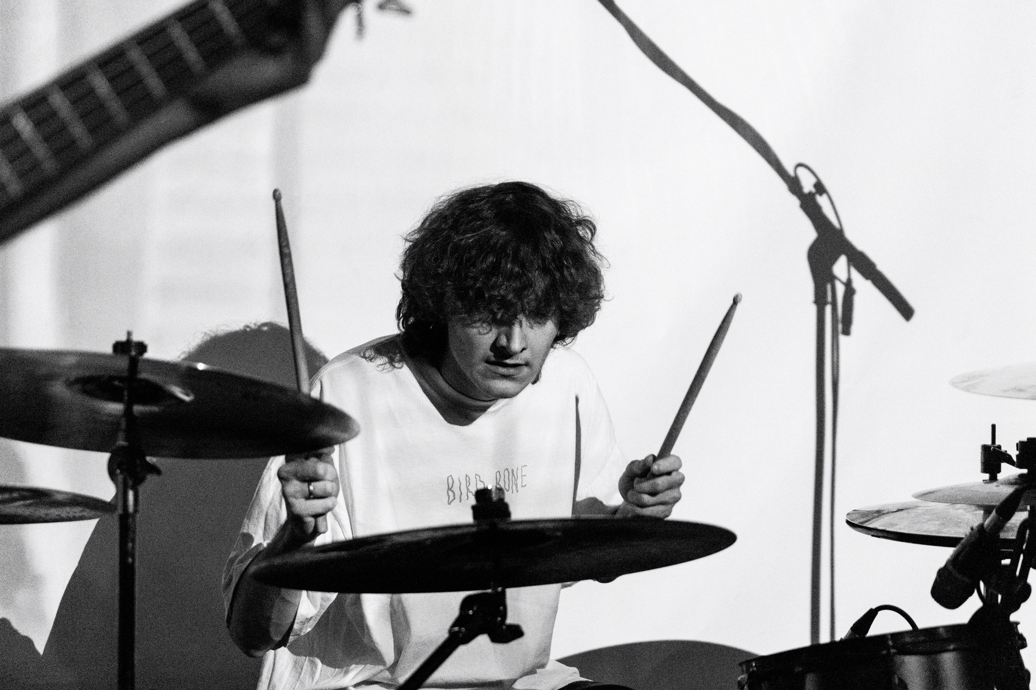 Змееед, Apodemus, 20.12.25, TAGO)))MAGO)))