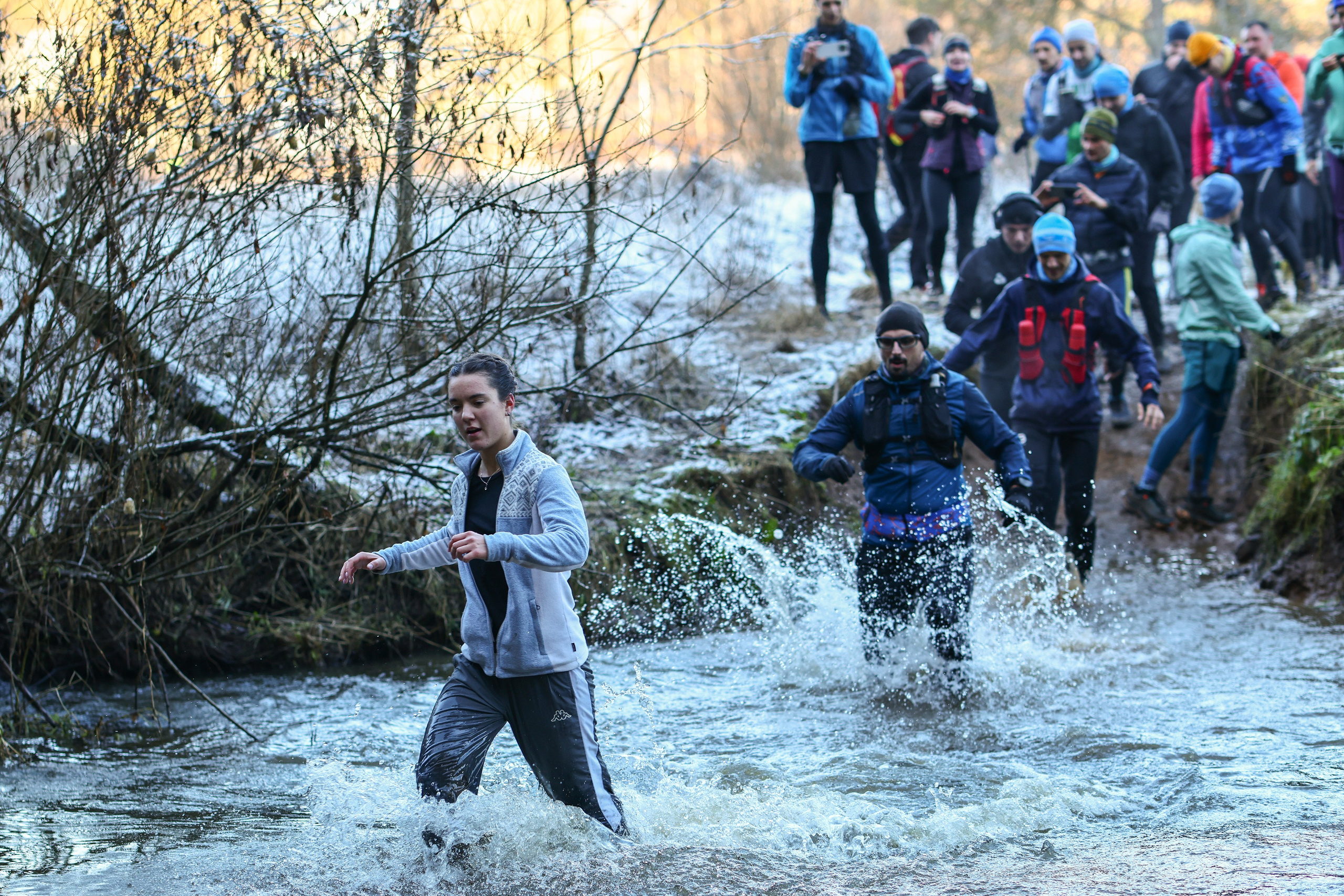 Два лепестка Химкинского марафона у дома, 23.11.25. Фотограф Сергей Ловкий