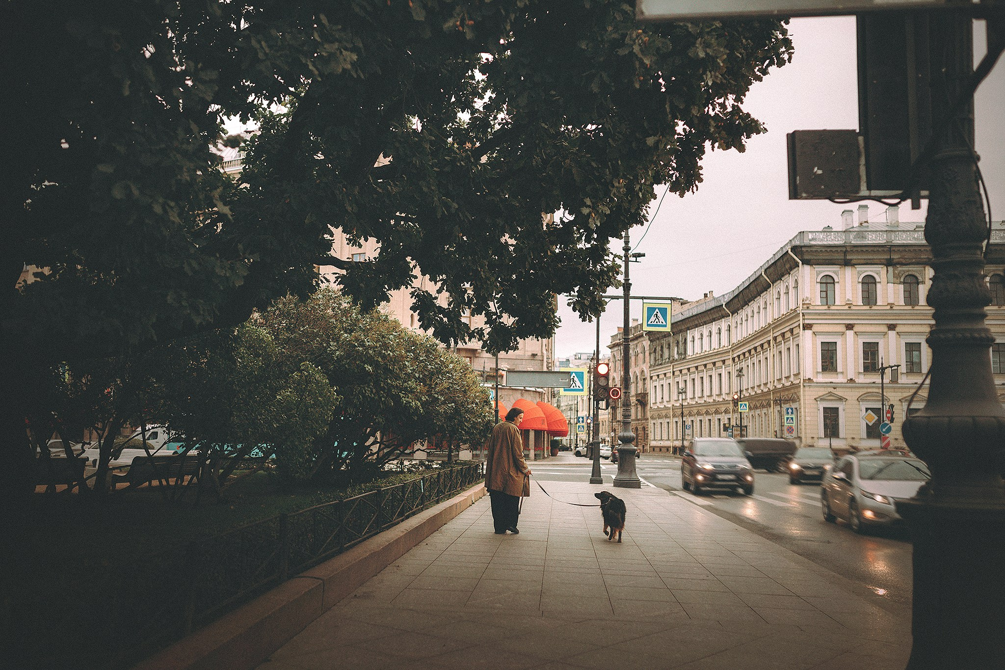 Денис и Бося. Фотограф-анималист • love-story • Санкт-Петербург