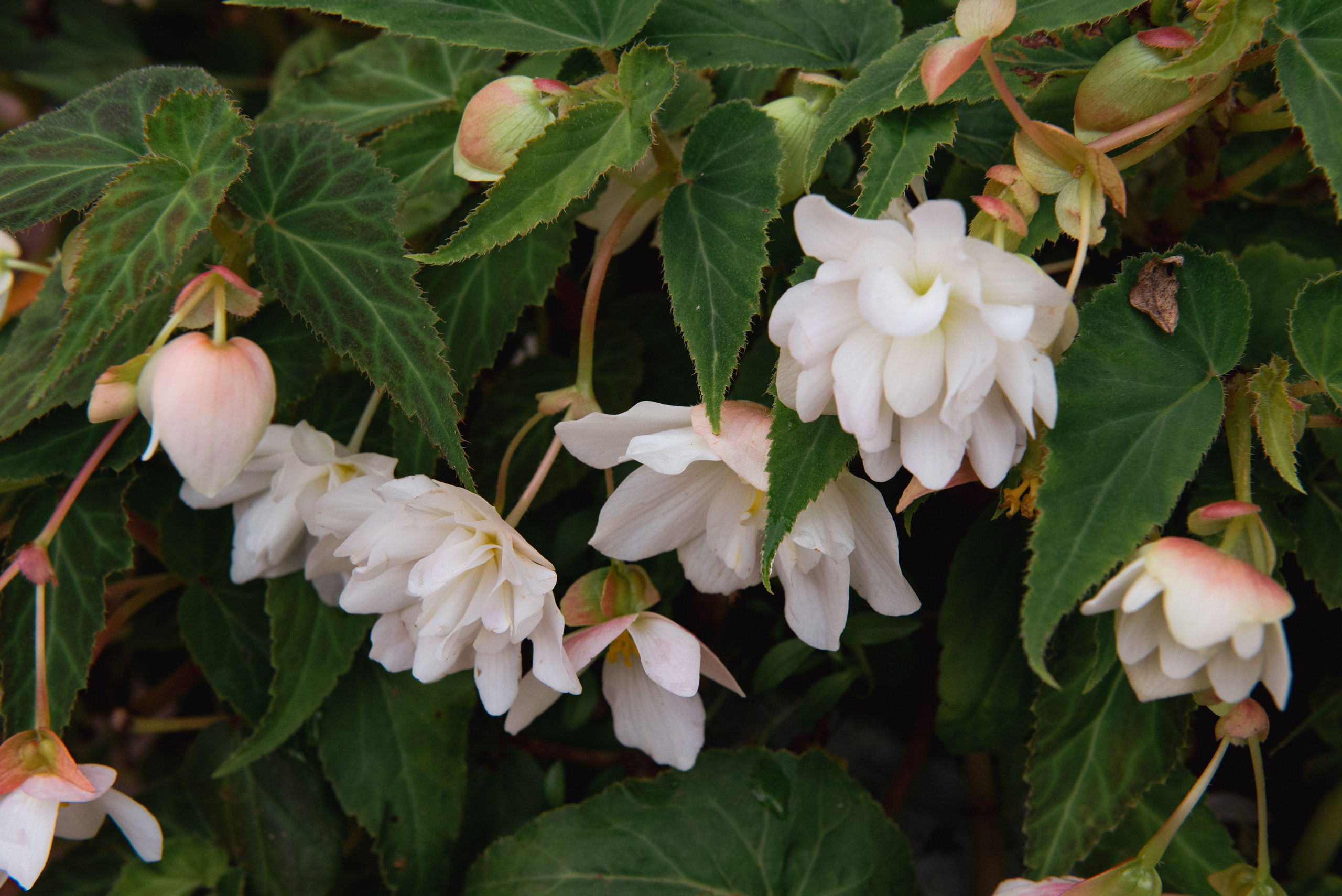 Осень. Портретный и архитектурный фотограф в Москве и Санкт-Петербурге