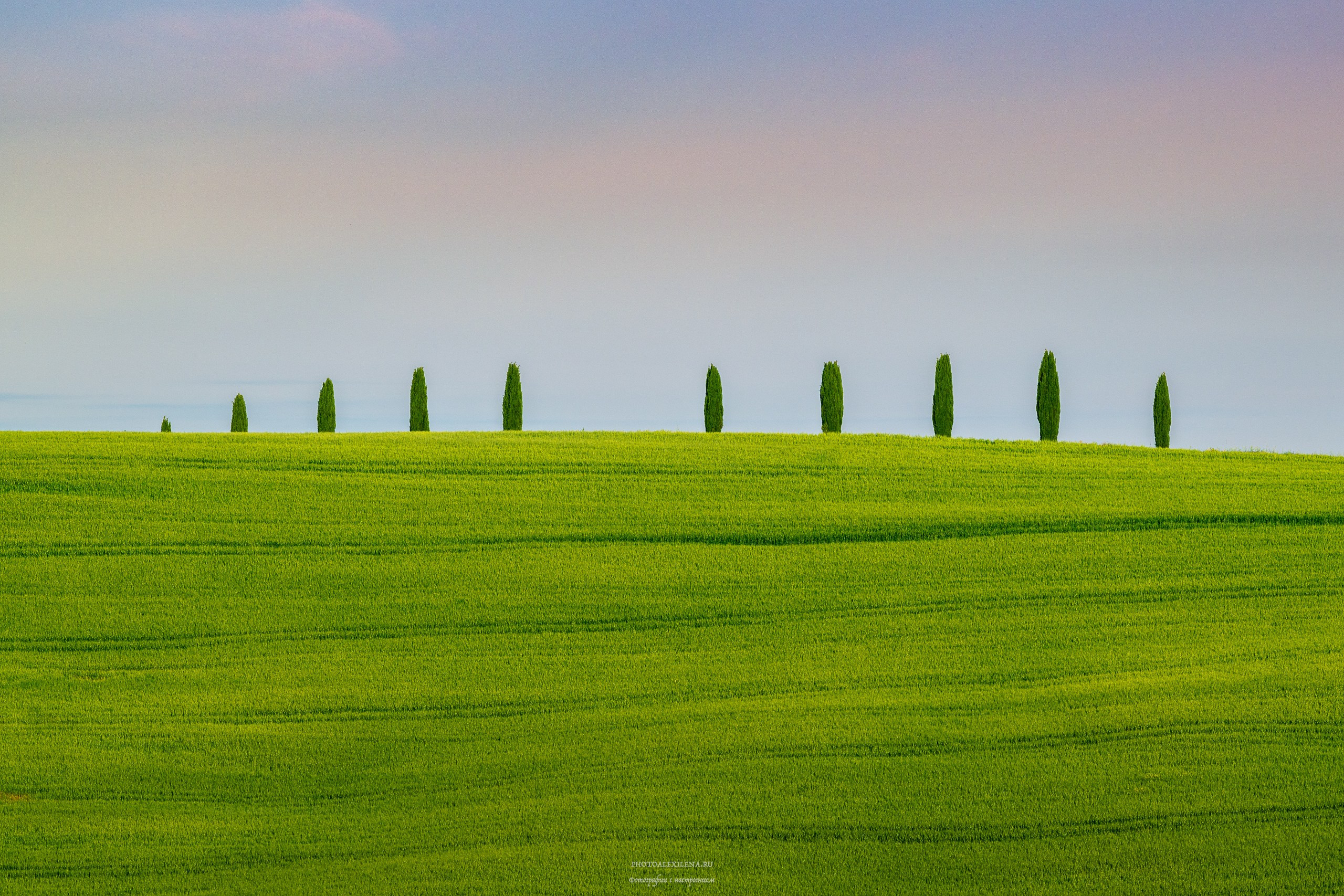 Авторские стильные фотокартины