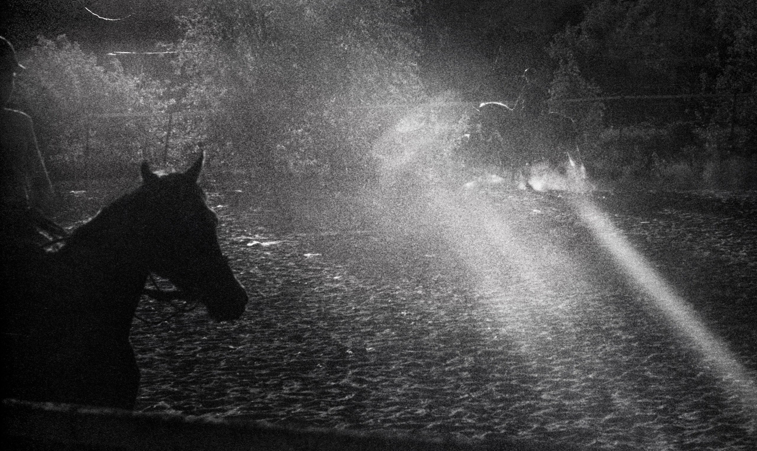 Документальная фотография. Фотохудожник Дарья Берг в Санкт-Петербурге и Москве