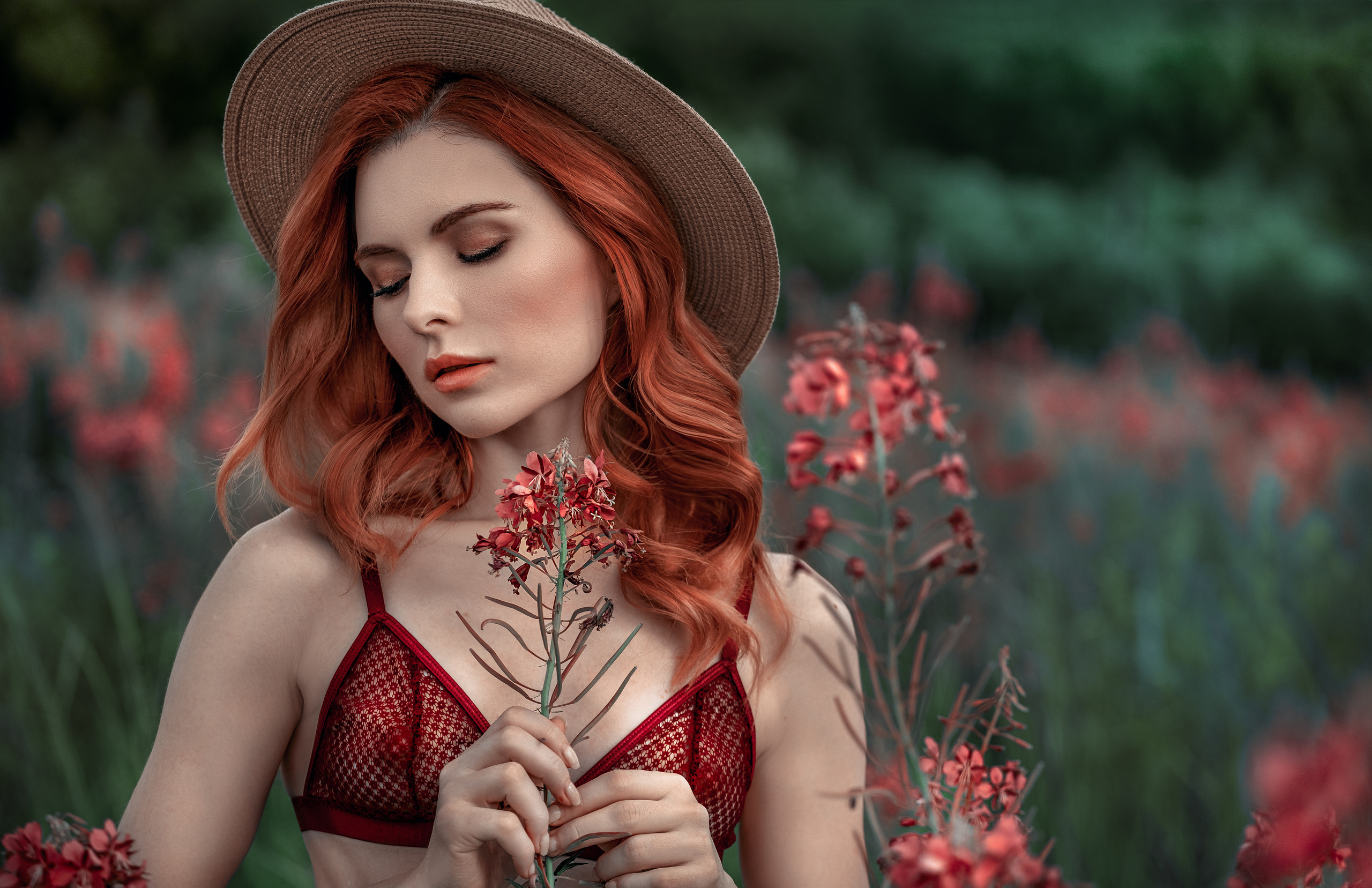 Александр Волков