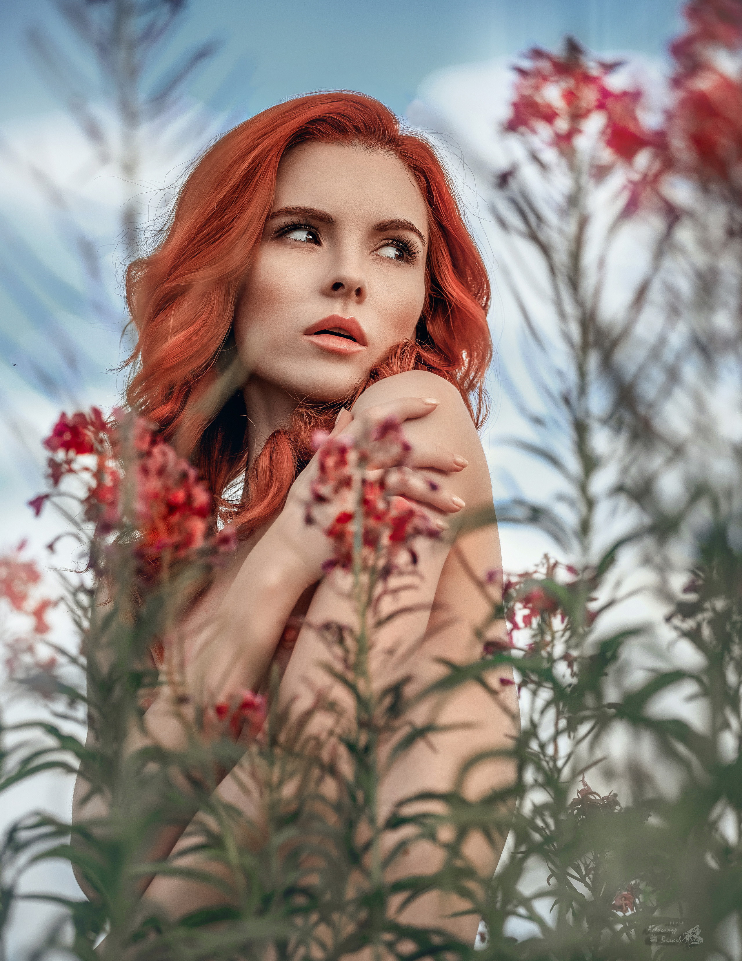 Портреты. Александр Волков