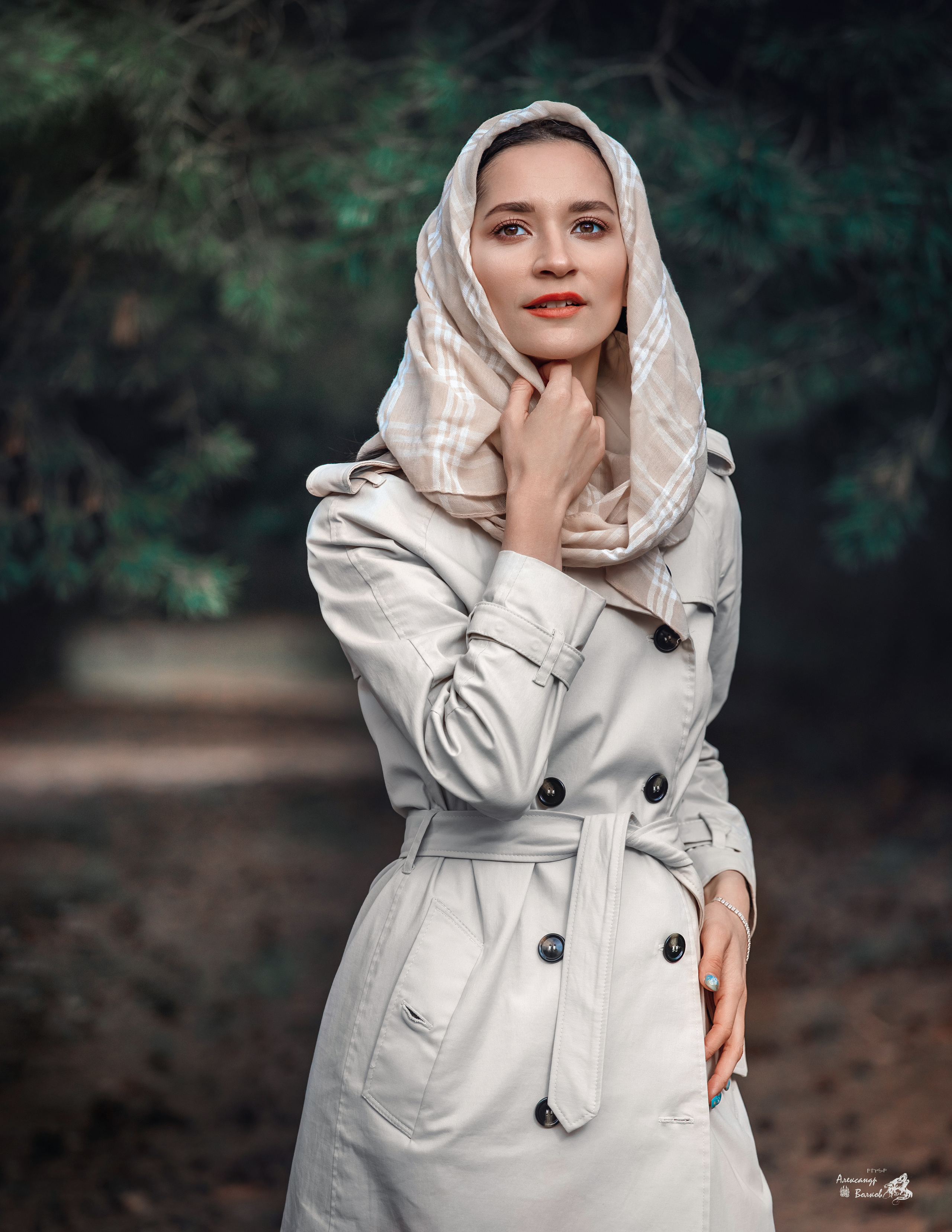 Портреты. Александр Волков