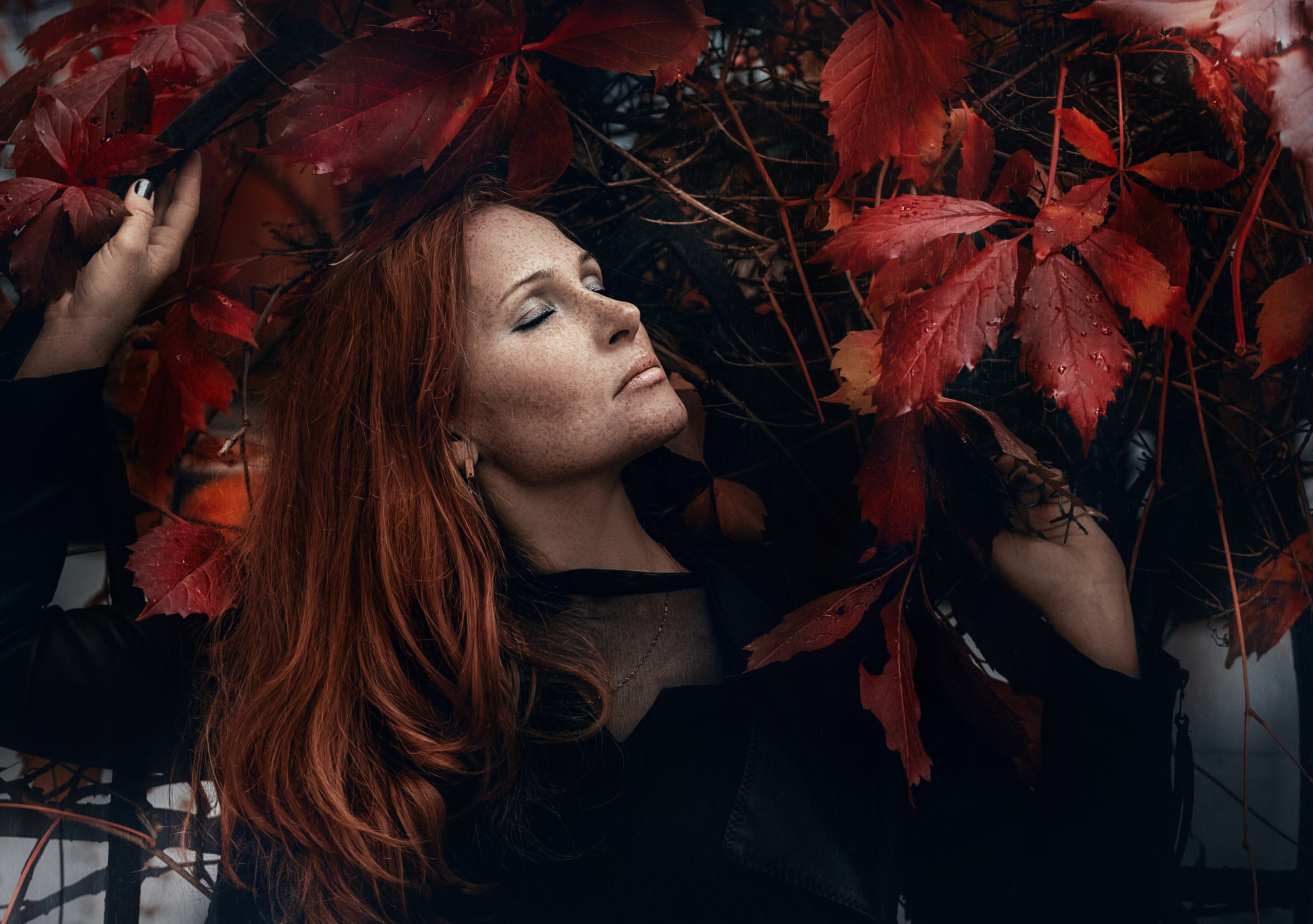 Портреты. Александр Волков