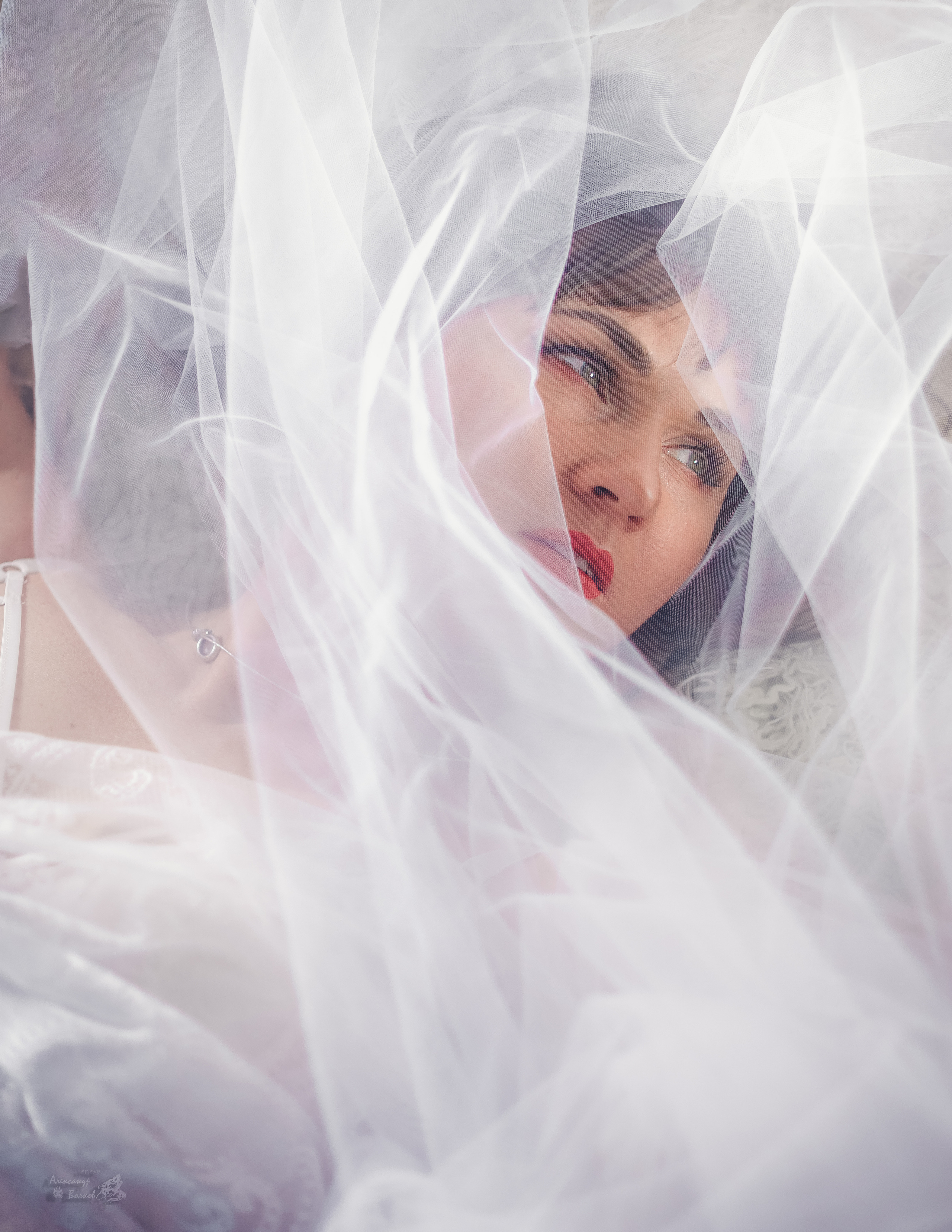 Портреты. Александр Волков