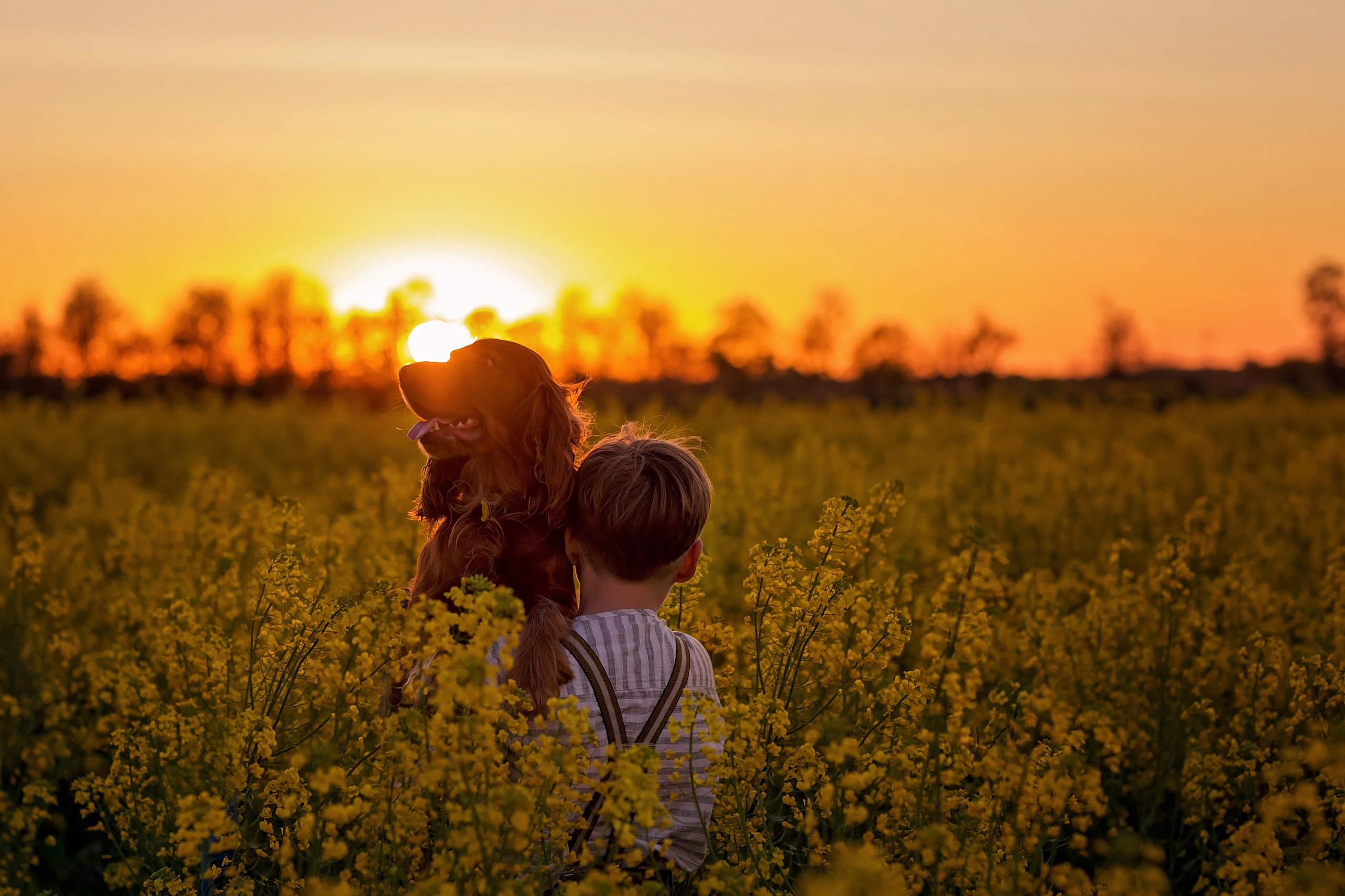 Рапс. Семейный и детский фотограф Екатерина Савёлова