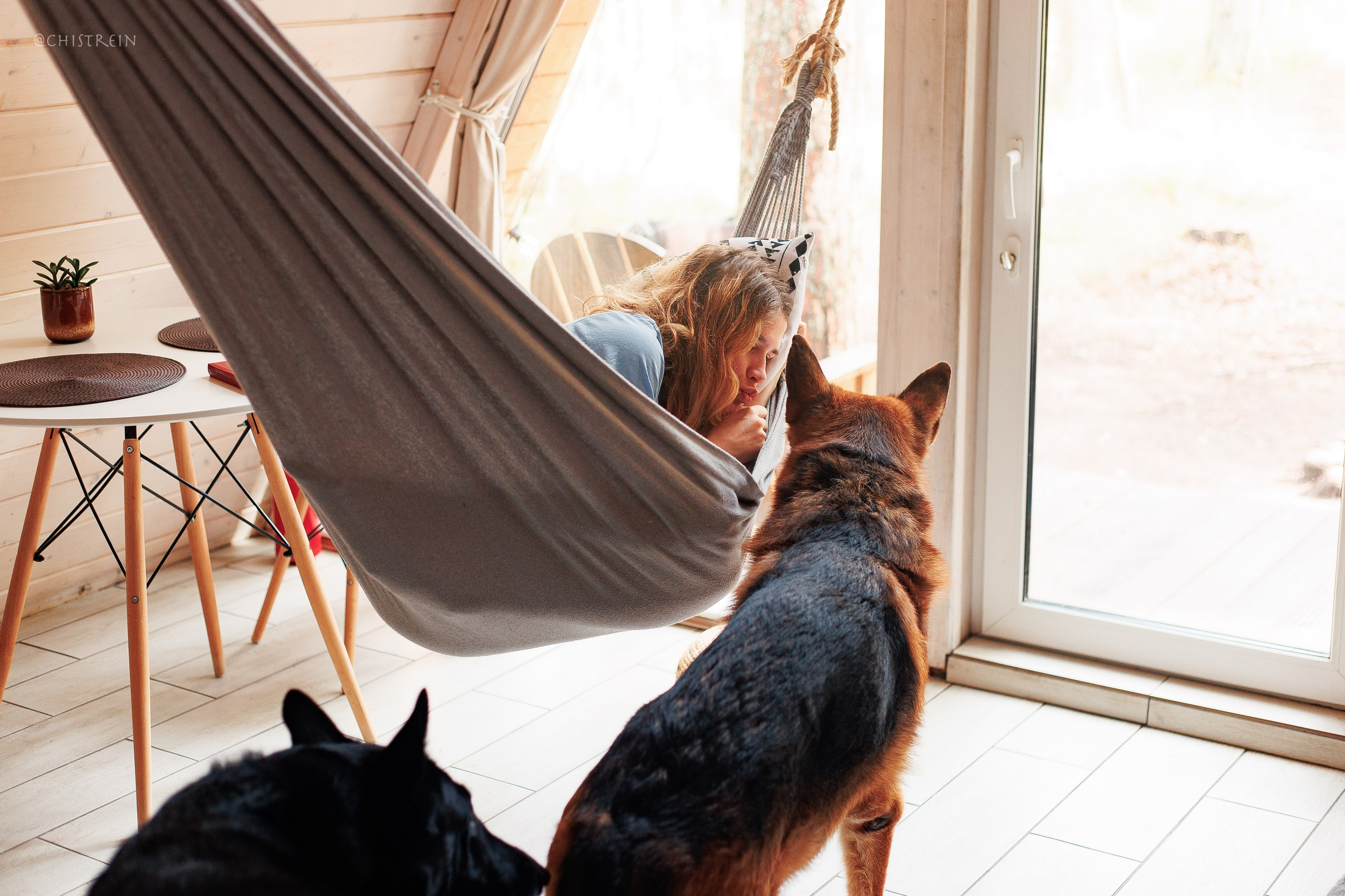 Shanti Home. Фотограф-анималист Наталия Чистюхина в г. Сосновый Бор и ЛО