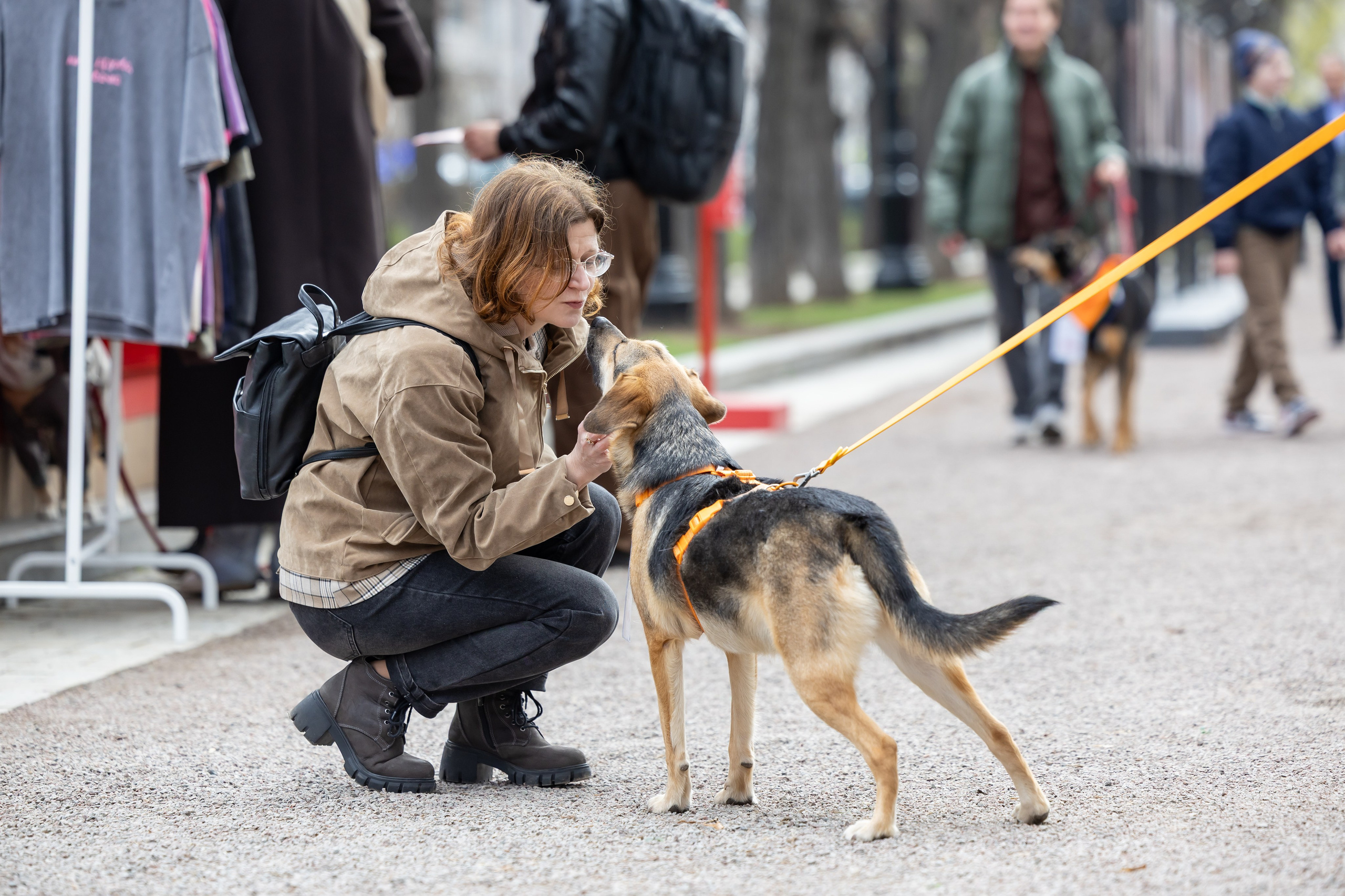 Проект «Моспитомец» на Тверском бульваре. Фотограф Владимир Охрименко