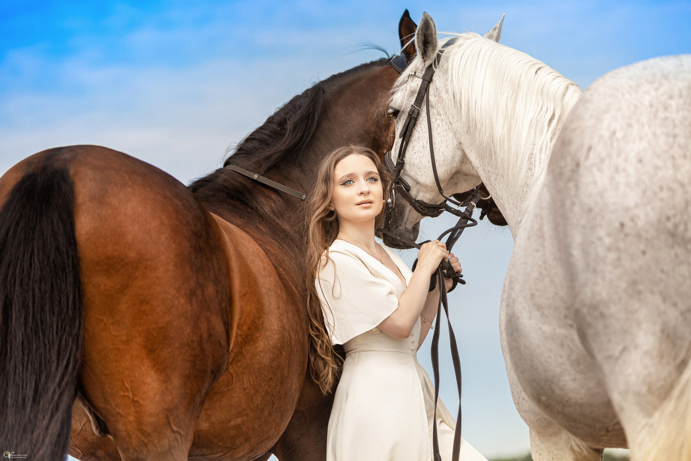 Фотосессии с лошадьми летом. Фотограф женский и мужской портрет Санкт-Петербург
