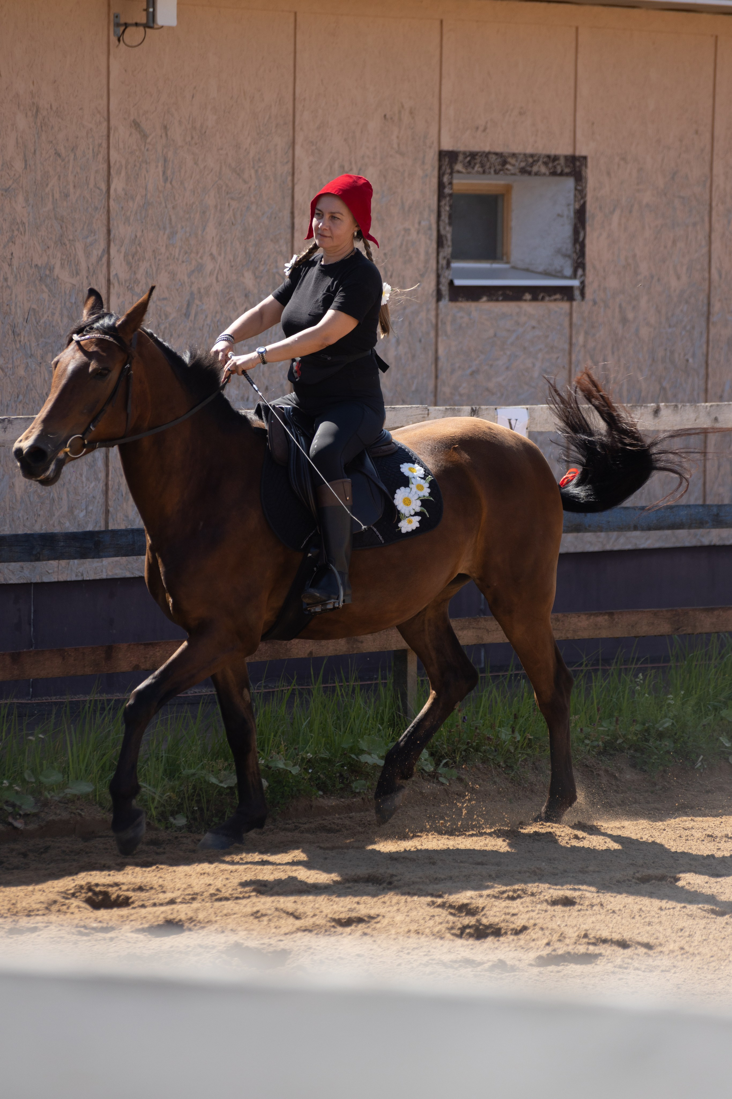 Конюшня. Фотограф в Москве и Истре
