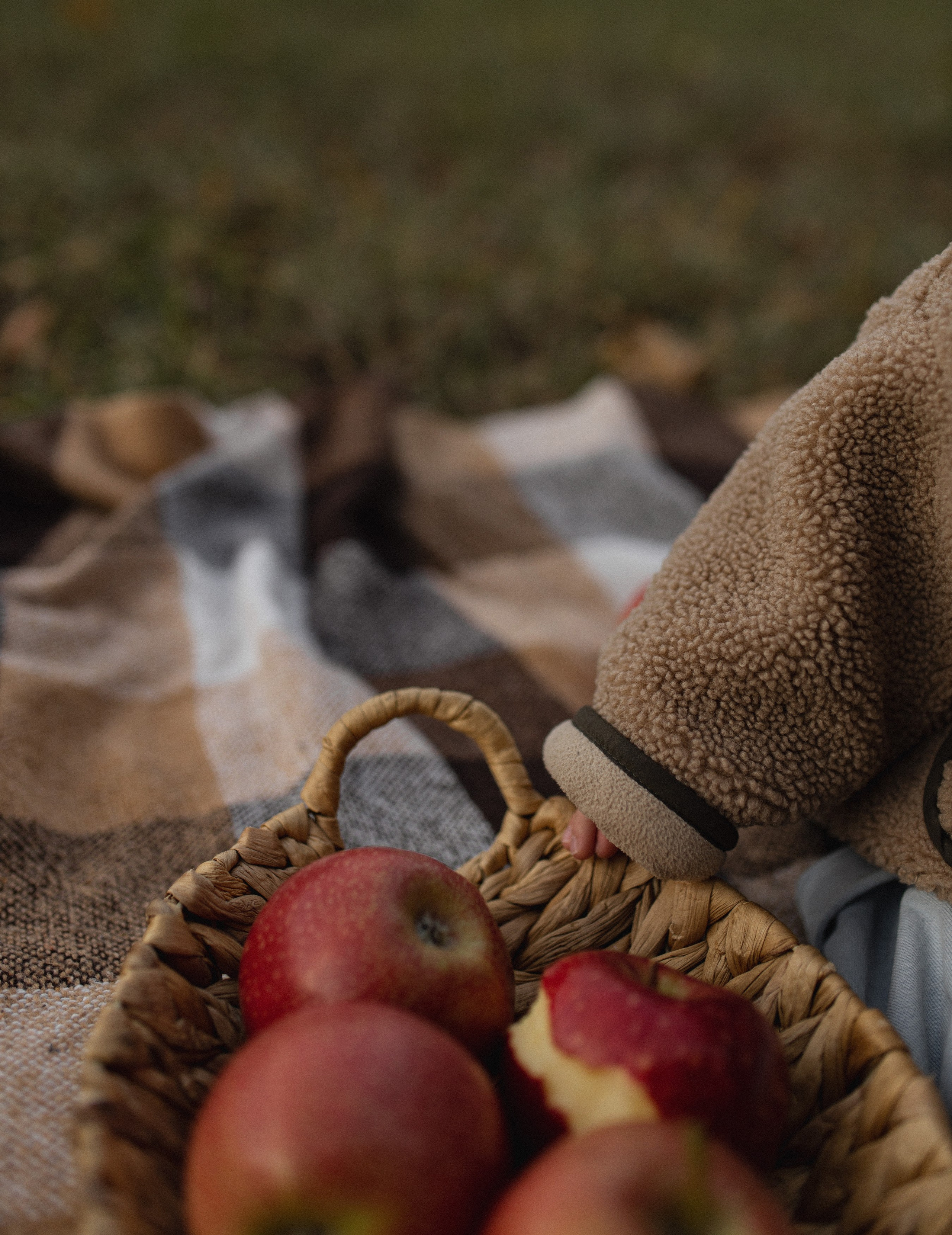 Autumn. Оксана Вахидова Фотограф Кумертау, Уфа, Мелеуз, Салават