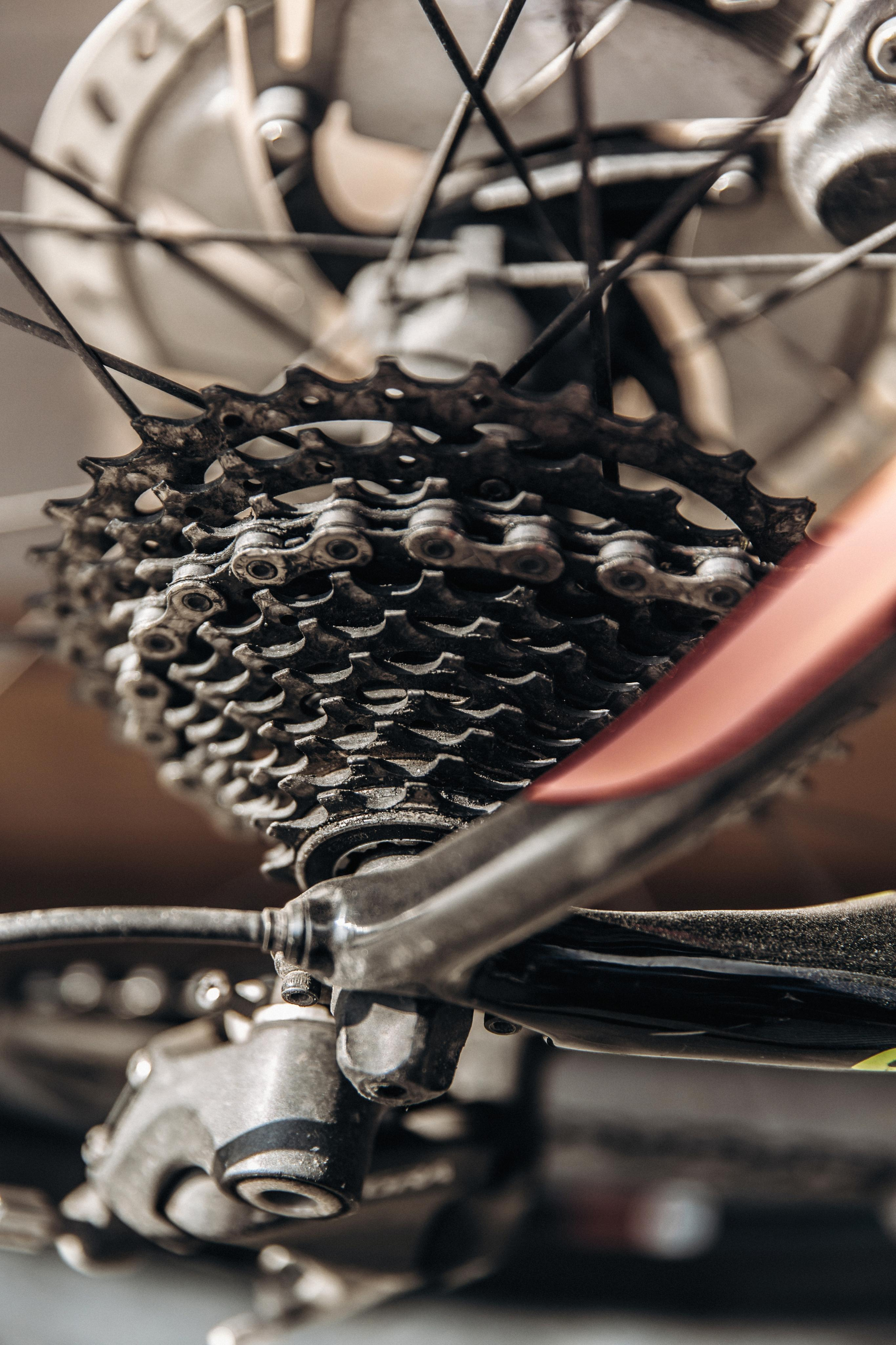 Света. Лихошерстов Андрей — фотограф для бизнеса из Сибири