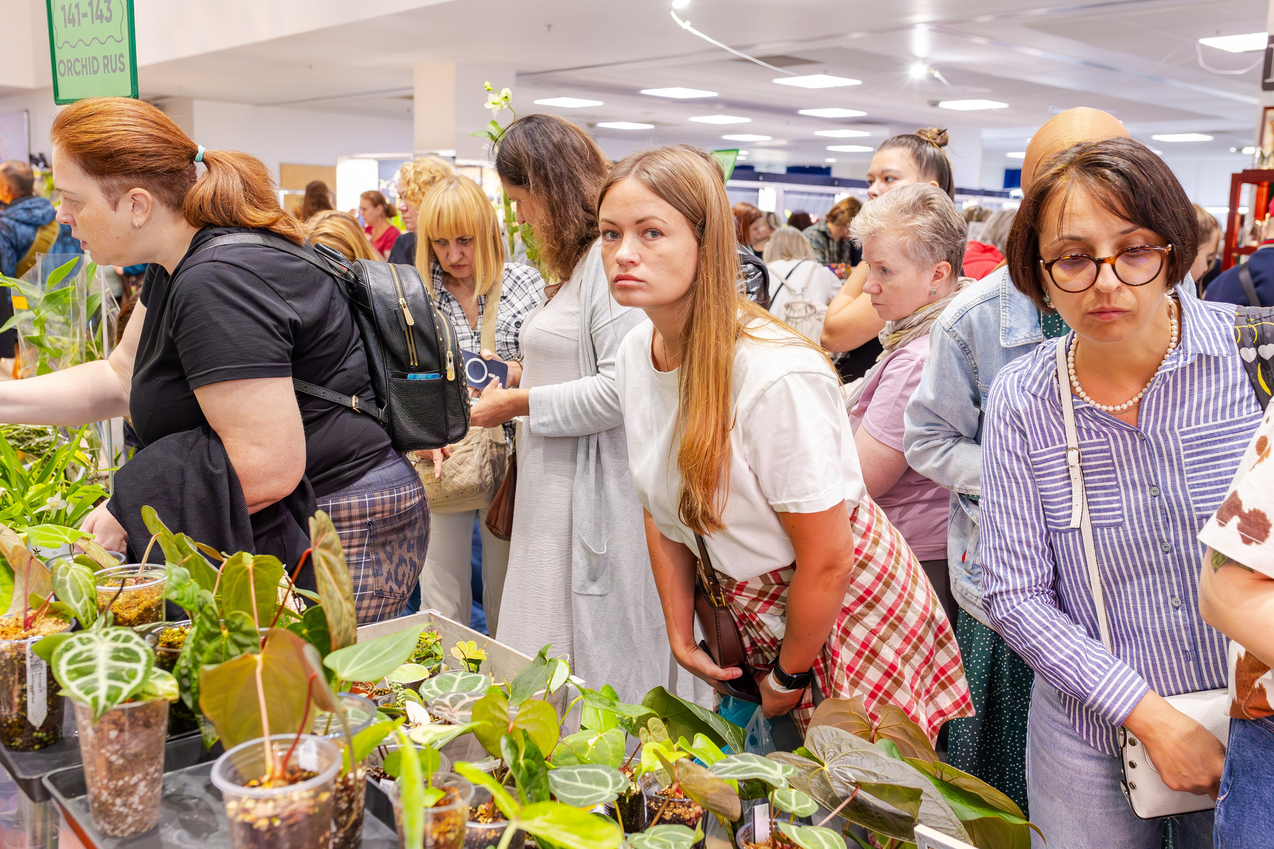 Орхидиум сентябрь 2025. Александра Куликова фотограф, Москва